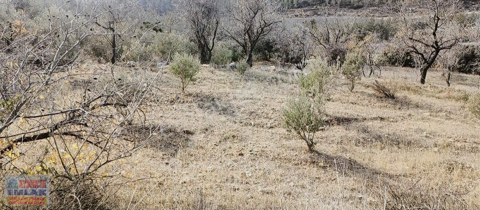 Aydıncık Emlaktan Satılık Tarla 1685m2 - Görsel 15