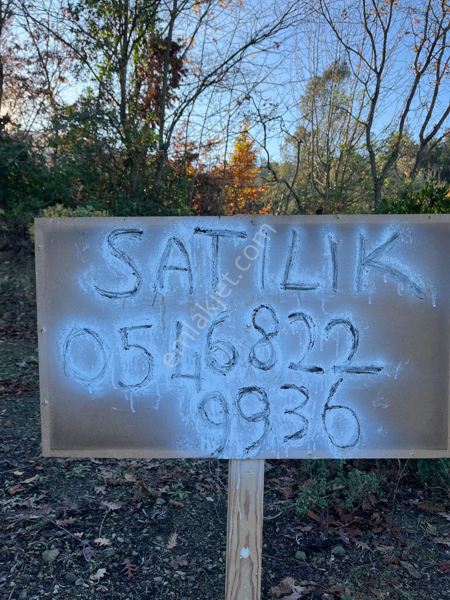 İznikte Önü Asla Kapanmayacak Göl Manzaralı Tarla - Görsel 5