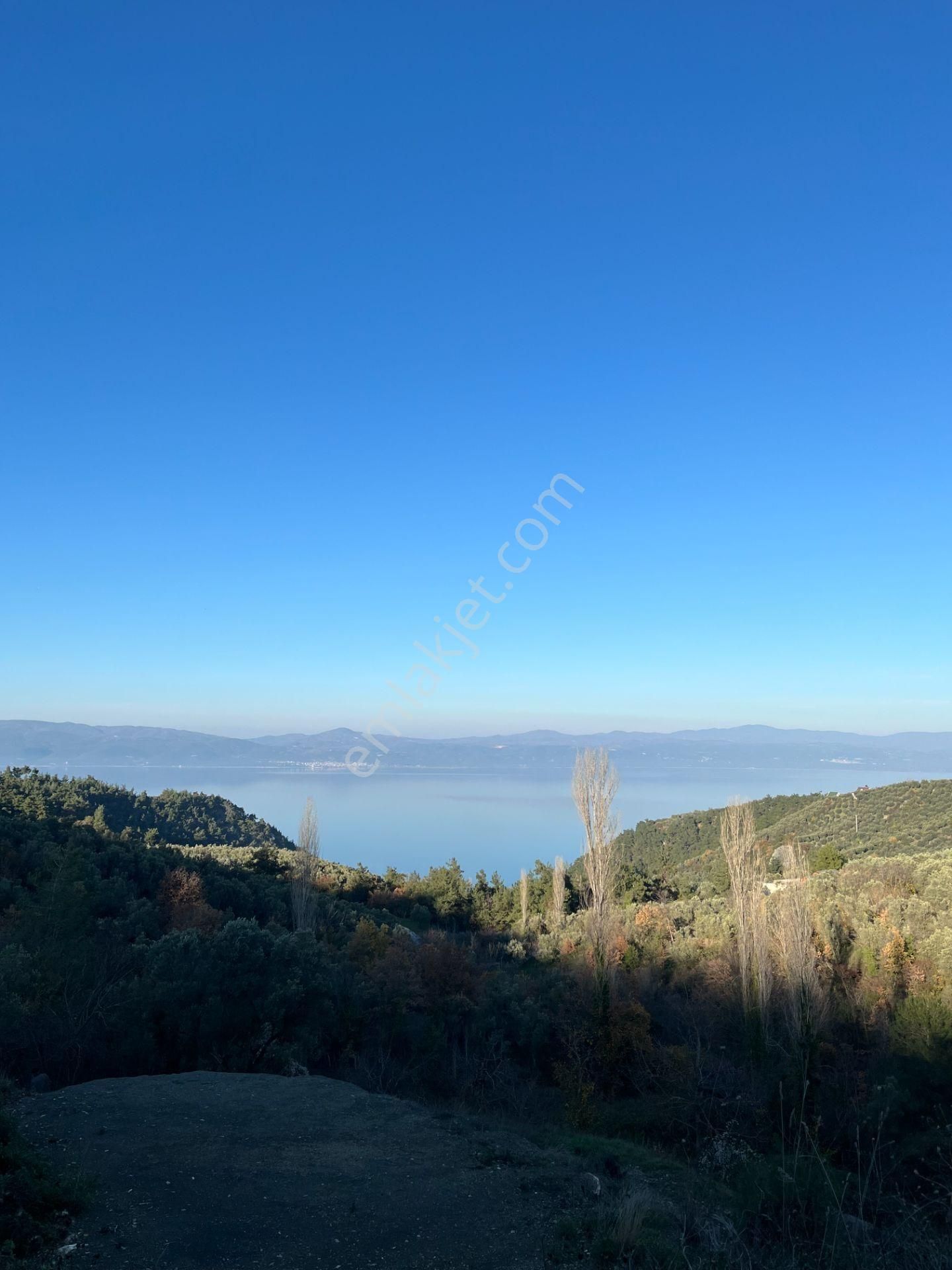 İznikte Önü Asla Kapanmayacak Göl Manzaralı Tarla - Görsel 2