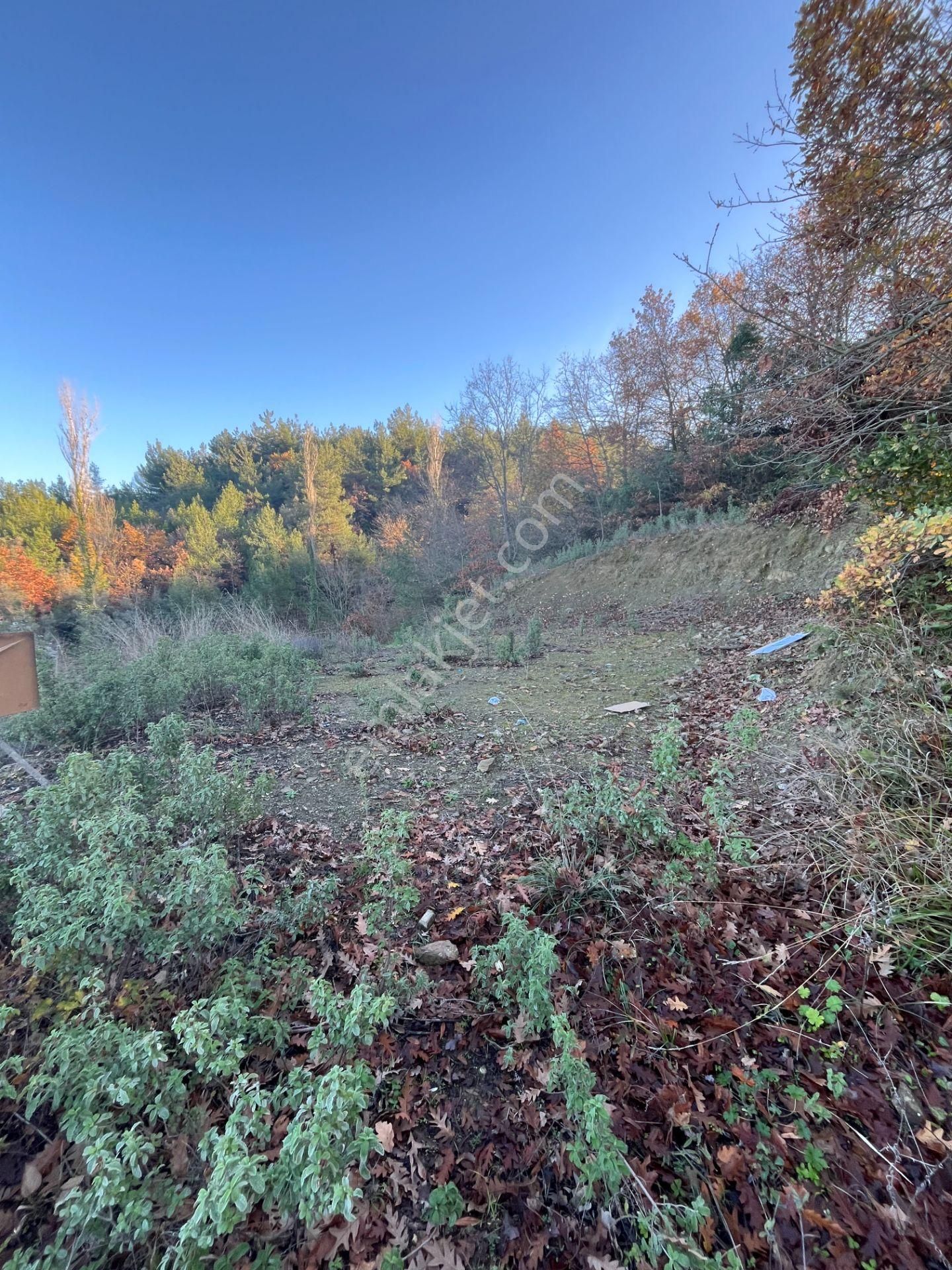 İznikte Önü Asla Kapanmayacak Göl Manzaralı Tarla - Görsel 4