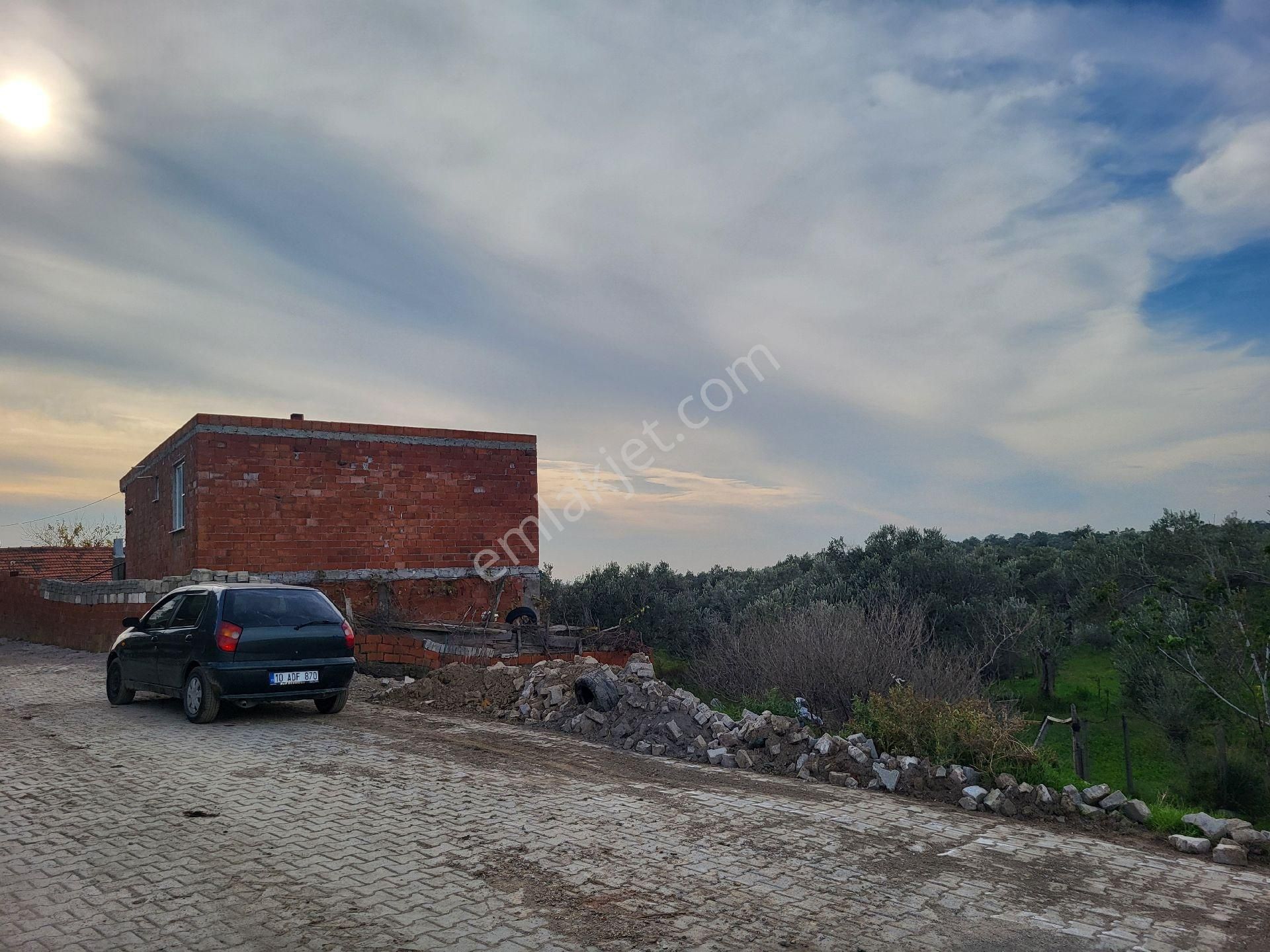 Şener Gayrimenkul'den İmar Sınırı Satılık 600 M2 Zeytin Bahçesi - Görsel 6