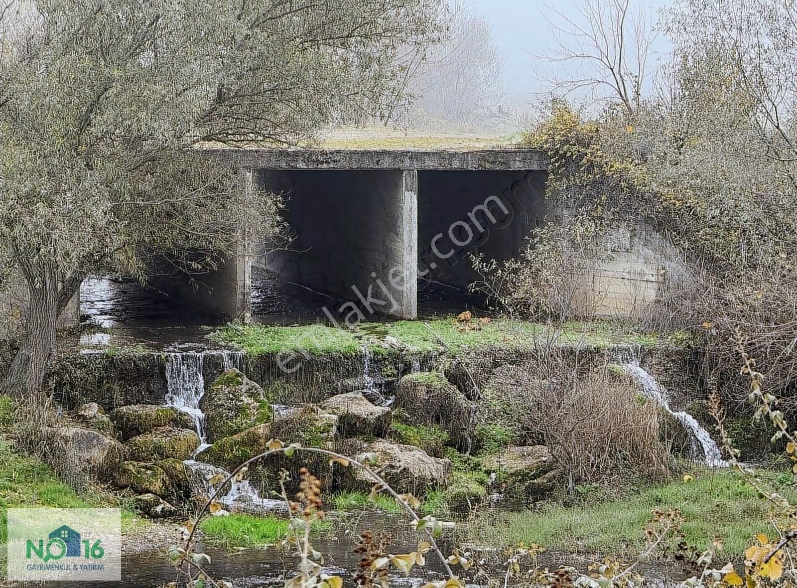 No16'dan Yenişehir Hayriye Köyü 3 Dönüm Asfalt Dibi Tarla - Görsel 8