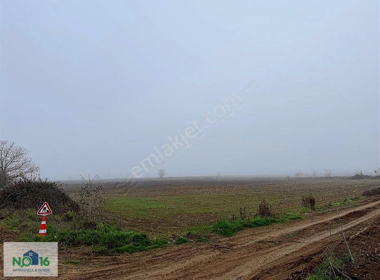 No16'dan Yenişehir Hayriye Köyü 3 Dönüm Asfalt Dibi Tarla - Görsel 3