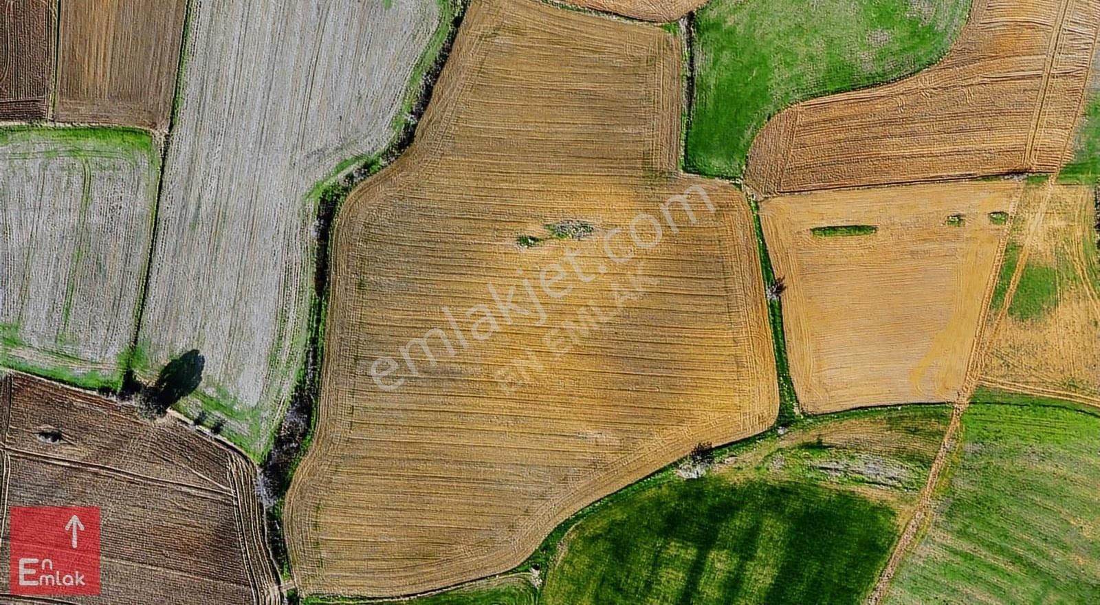 Adilhanda Saros Körfezi Manzaralı 21.308 M² Yatırım Fırsatı - Görsel 5