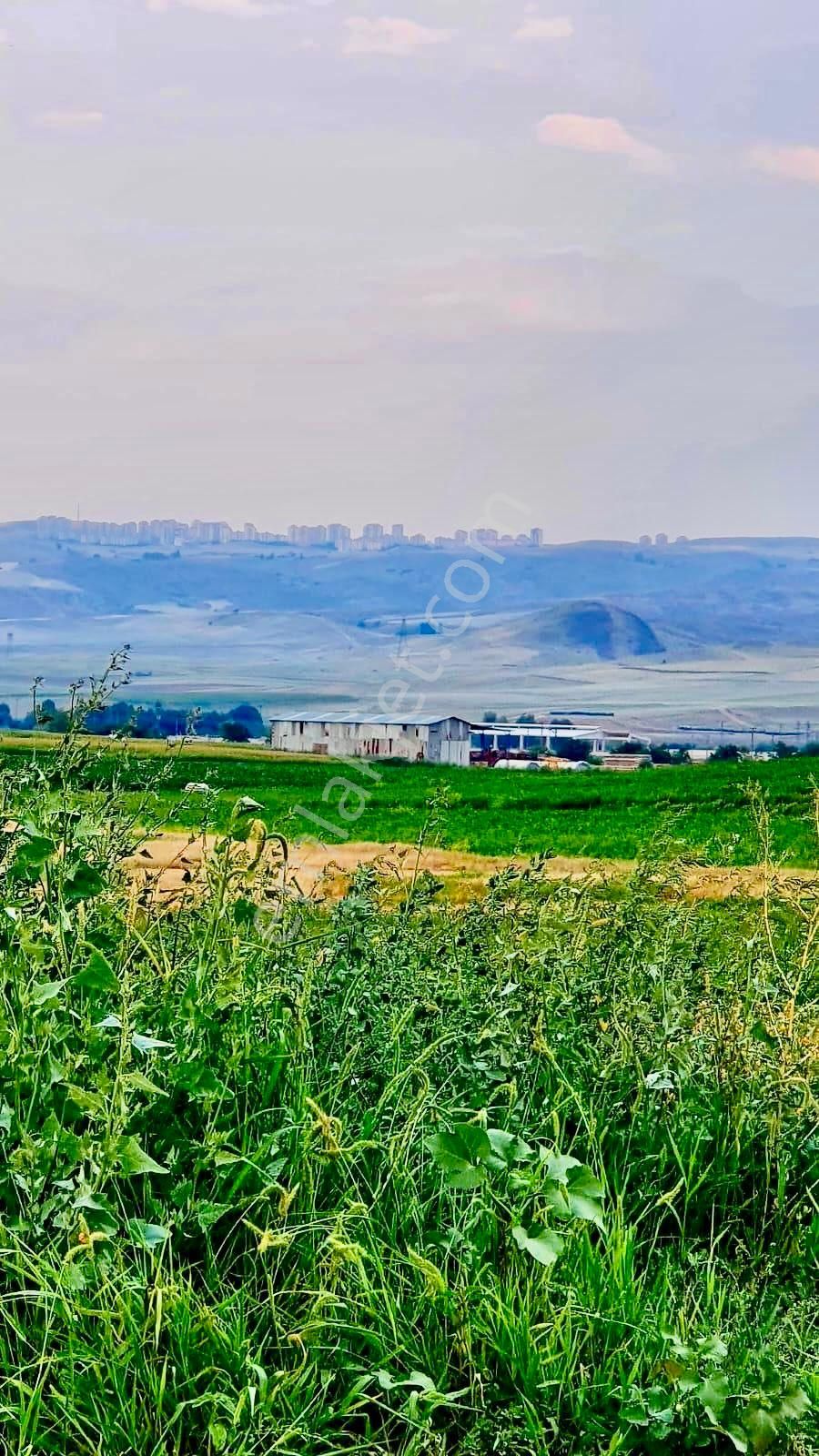 Sincan Anayurt | 1.435 M² Yatırımlık | İmara Yakın | Hisse Tapulu - Görsel 5