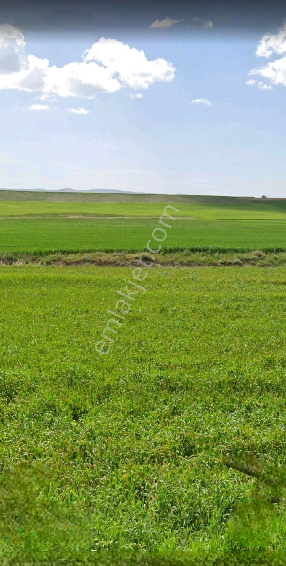 Sincan Anayurt Mahallesi | 2.001 M² | İmara 1.600 M | Harika Konum | Yatırımlık Hisse Tapulu - Görsel 10