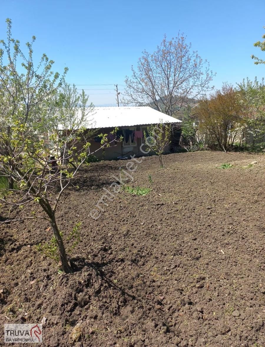 Truva Gayrimenkul Sındırgı Düvertepe'de Fırsat Müstakil Ev - Görsel 5