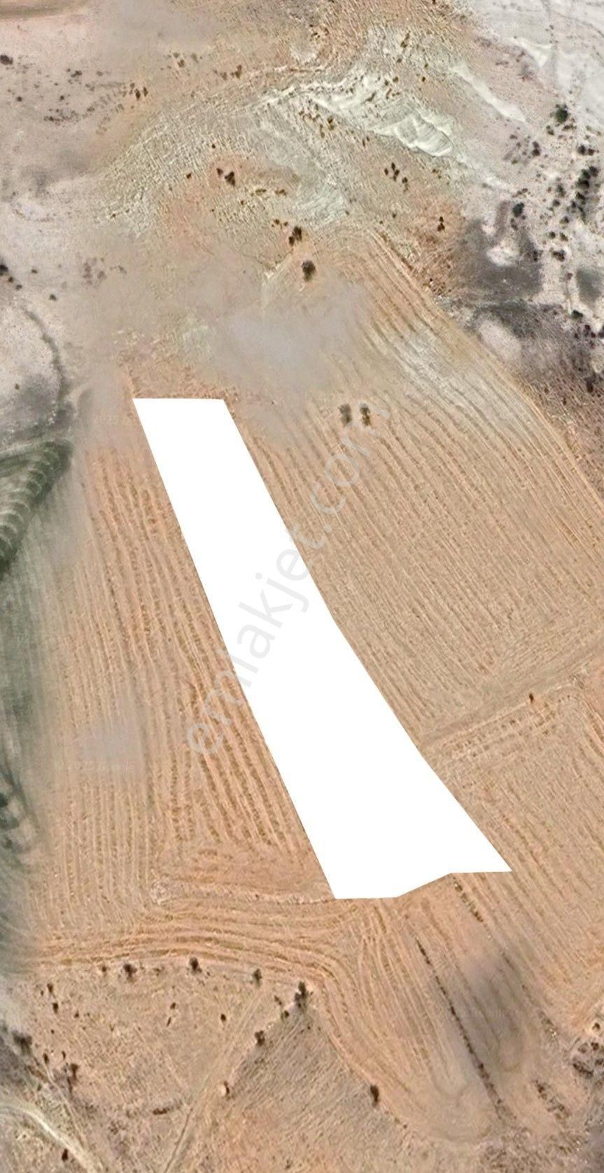 Ayaş Gökler’de 5.700 M² Tek Tapu | Komple Ankara Manzaralı | Bağ & Bahçeye Uygun - Görsel 13