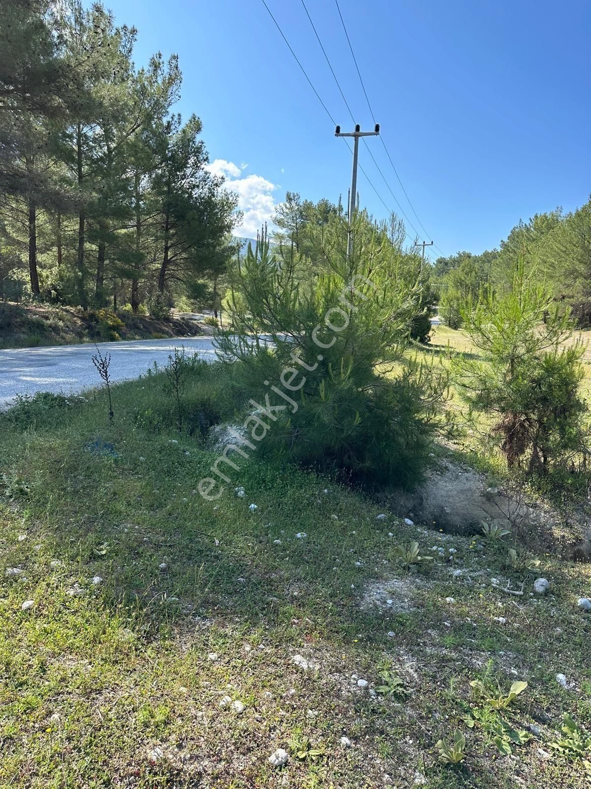 Antalya Kaş Sahil Palamut’ta Asfalt Cepheli 3.200 M² | Tek Tapu | Bağ & Bahçeye Uygun - Görsel 7