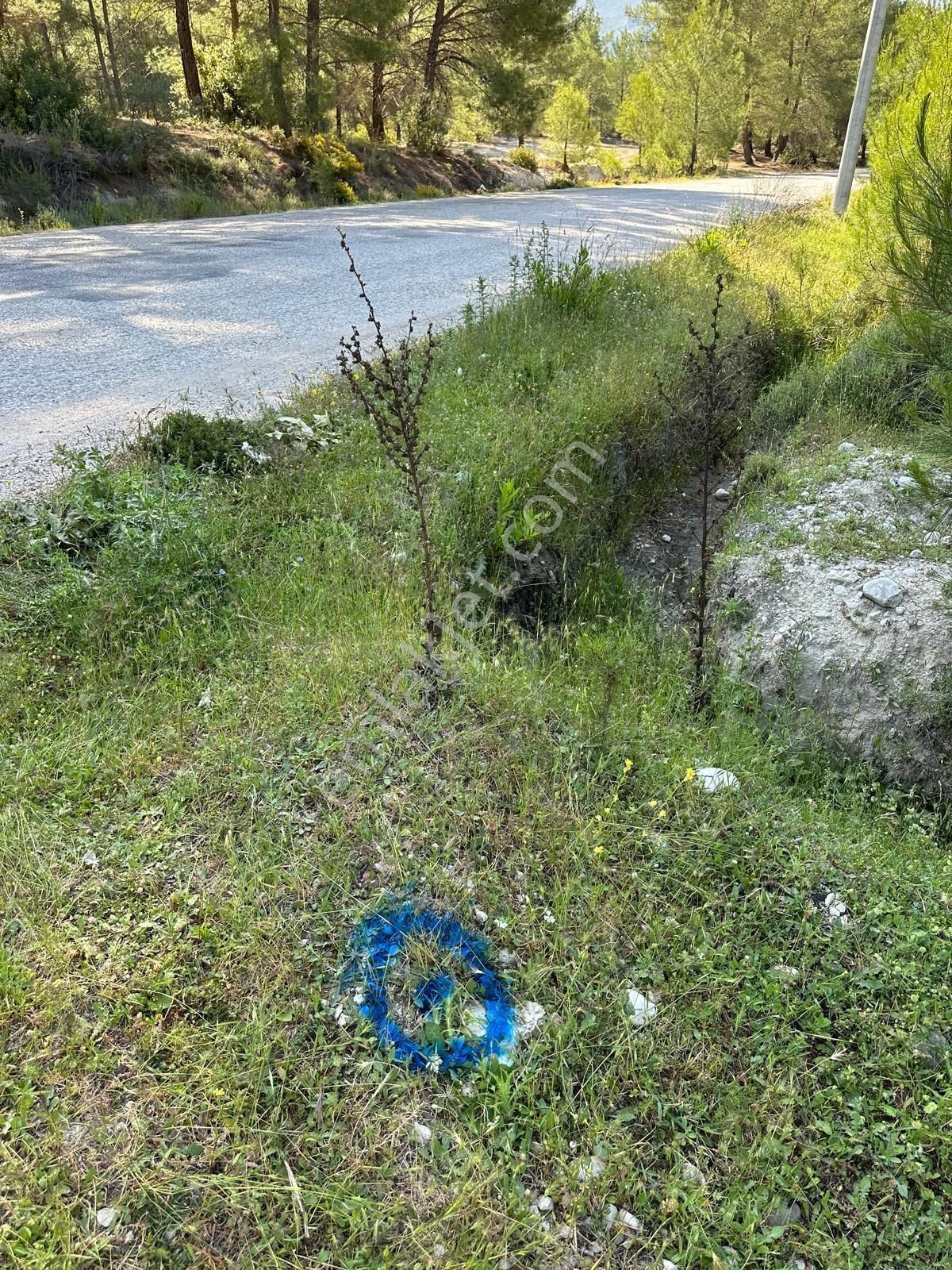 Antalya Kaş Sahil Palamut’ta Asfalt Cepheli 3.200 M² | Tek Tapu | Bağ & Bahçeye Uygun - Görsel 8