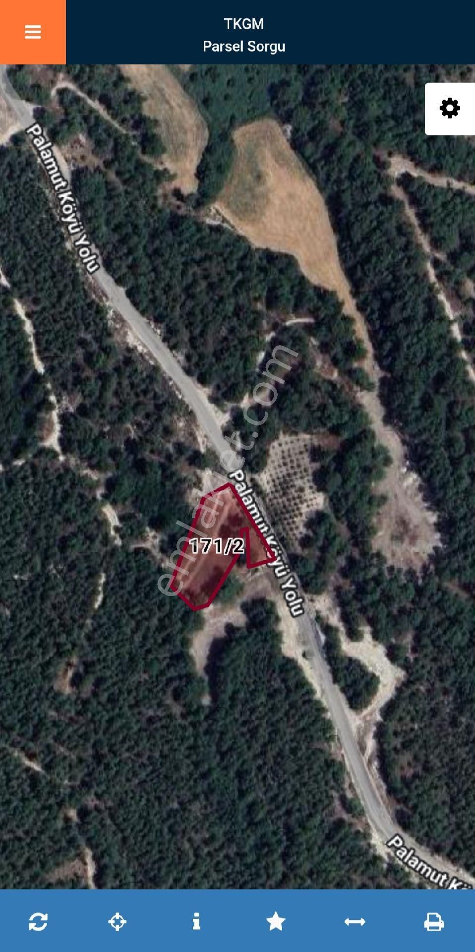 Antalya Kaş Sahil Palamut’ta Asfalt Cepheli 3.200 M² | Tek Tapu | Bağ & Bahçeye Uygun - Görsel 10