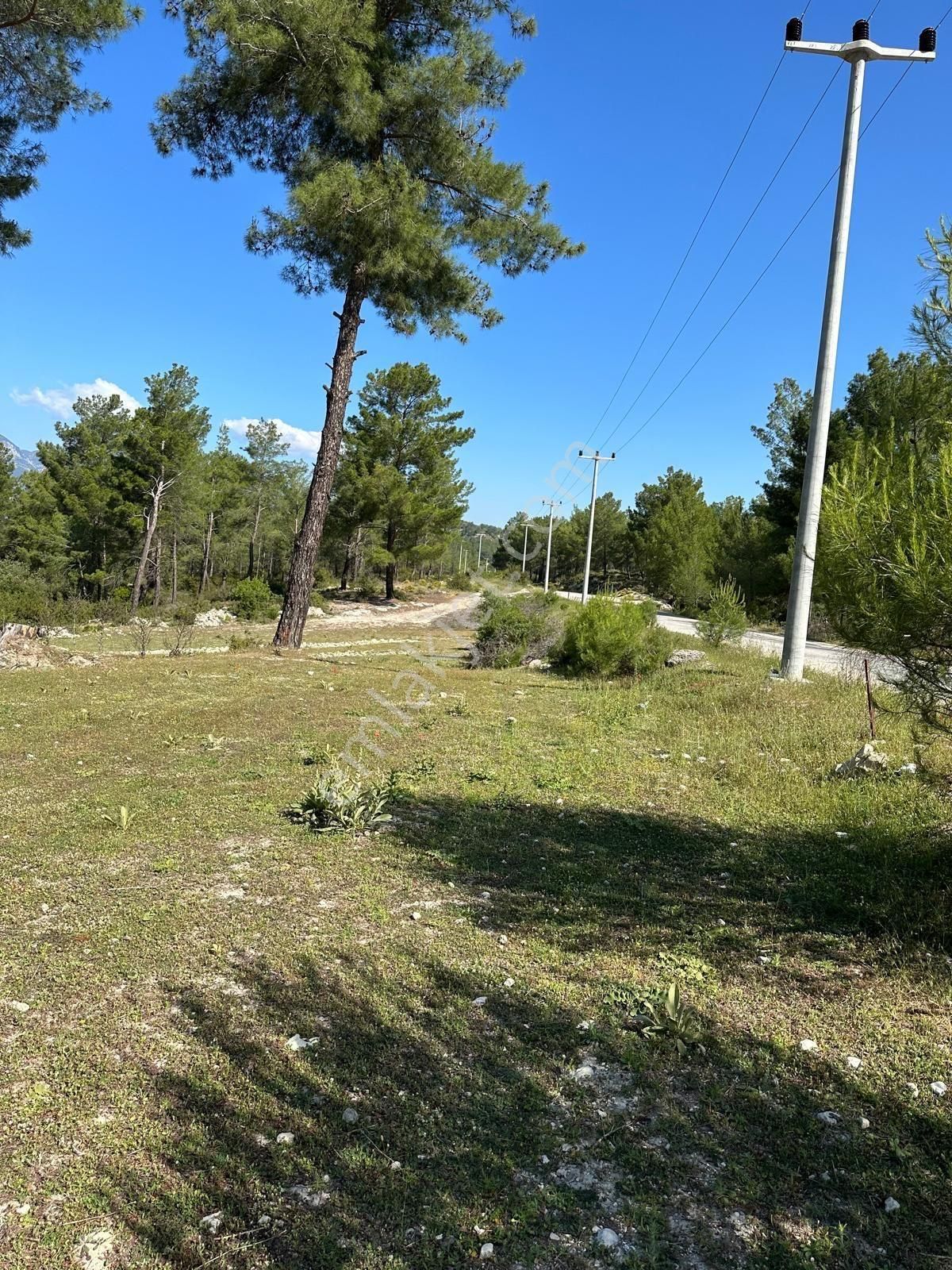 Antalya Kaş Sahil Palamut’ta Asfalt Cepheli 3.200 M² | Tek Tapu | Bağ & Bahçeye Uygun - Görsel 4