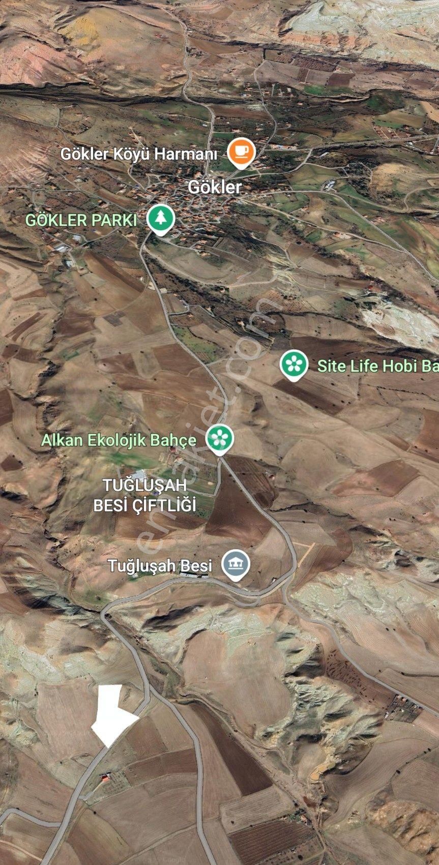Ayaş Gökler Tatlar Mevkii’nde Asfalt Cepheli 7 Dönüm | Tek Tapu | Bağ-bahçe & Mandıra Uygun - Görsel 8
