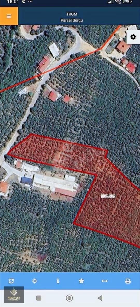 Karapürçek Mecidiye De Doğa İçinde Yaşam Fırsatı - Görsel 2