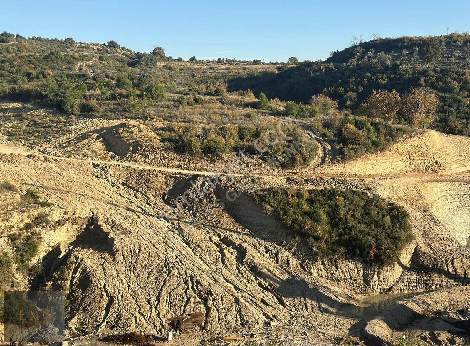 Cevizler Mahallesinde 5.593 M2 Satılık Tarla !! - Görsel 2