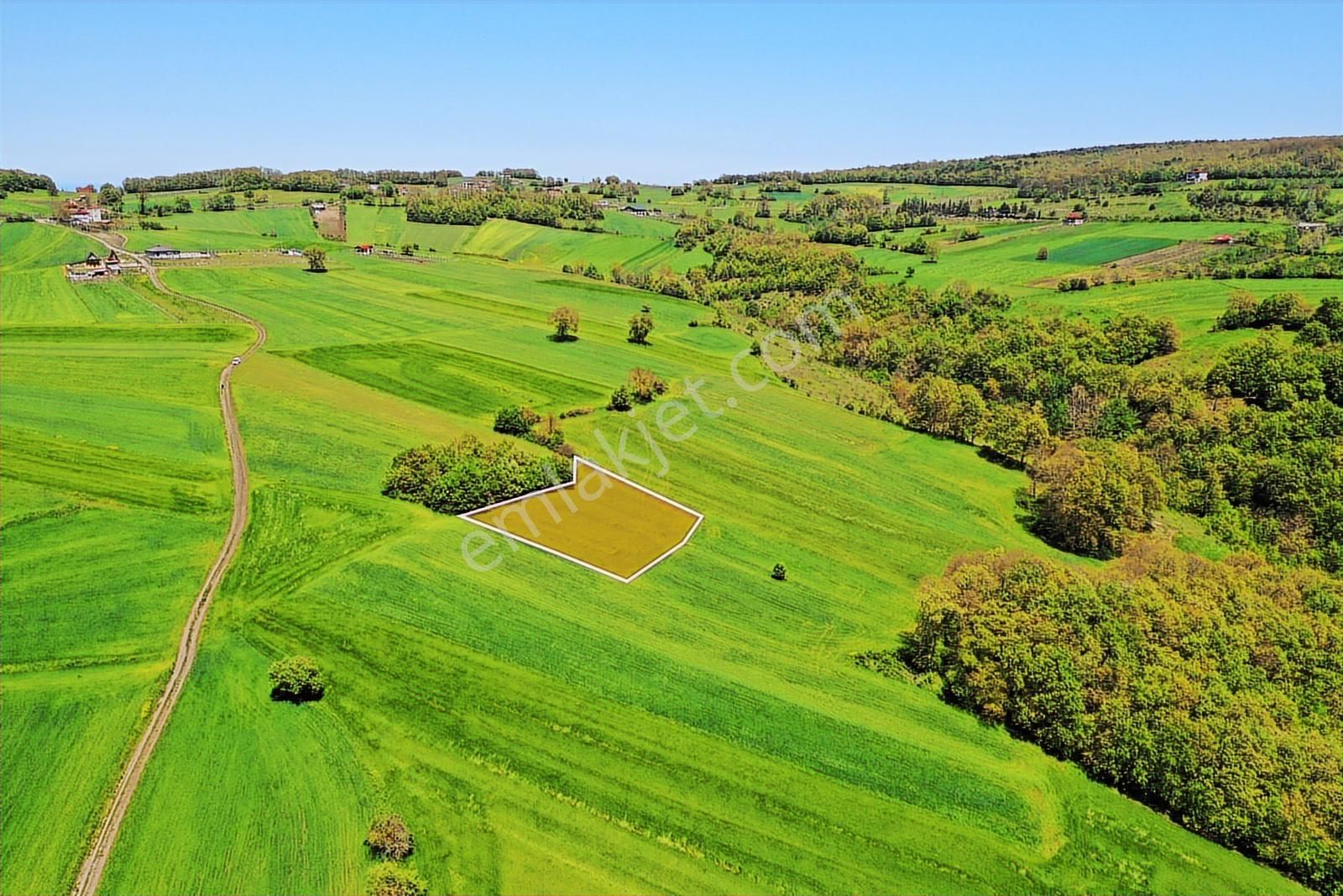 Atakum-çatmaoluk'ta Kaçırılmayacak Fırsat Tarla