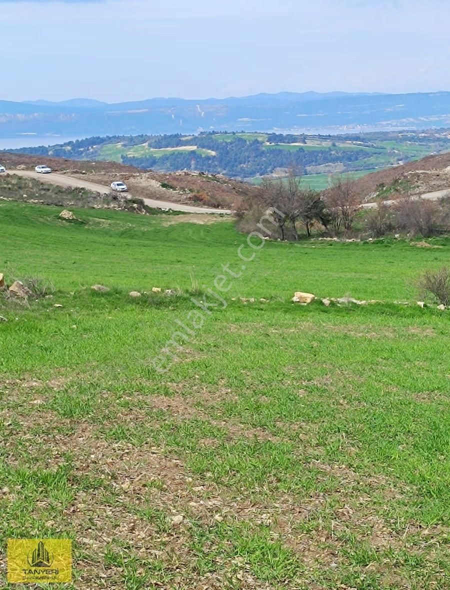 Çanakkale Merkez Kızılkeçili Köye Yakın Satılık Fırsat Tarla