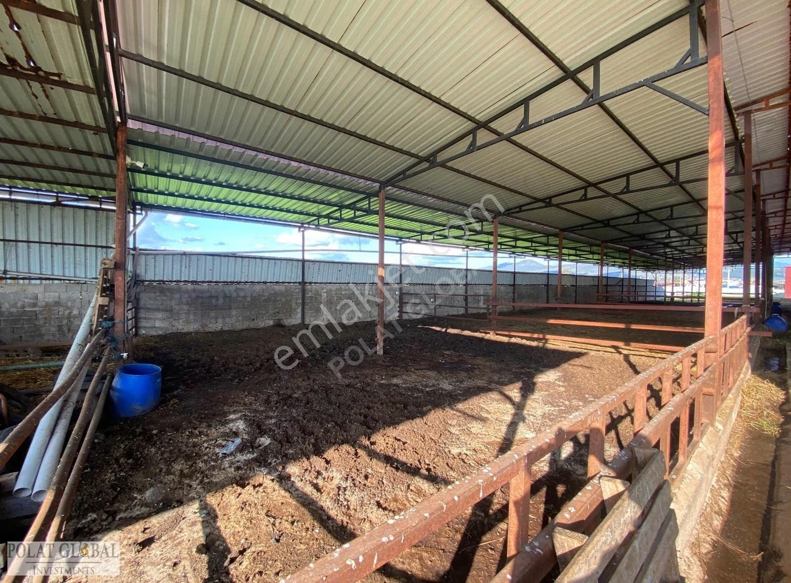 Polat Global'den Havalimanına Yakın Yapı Kayıt Belgeli Tarla - Görsel 27