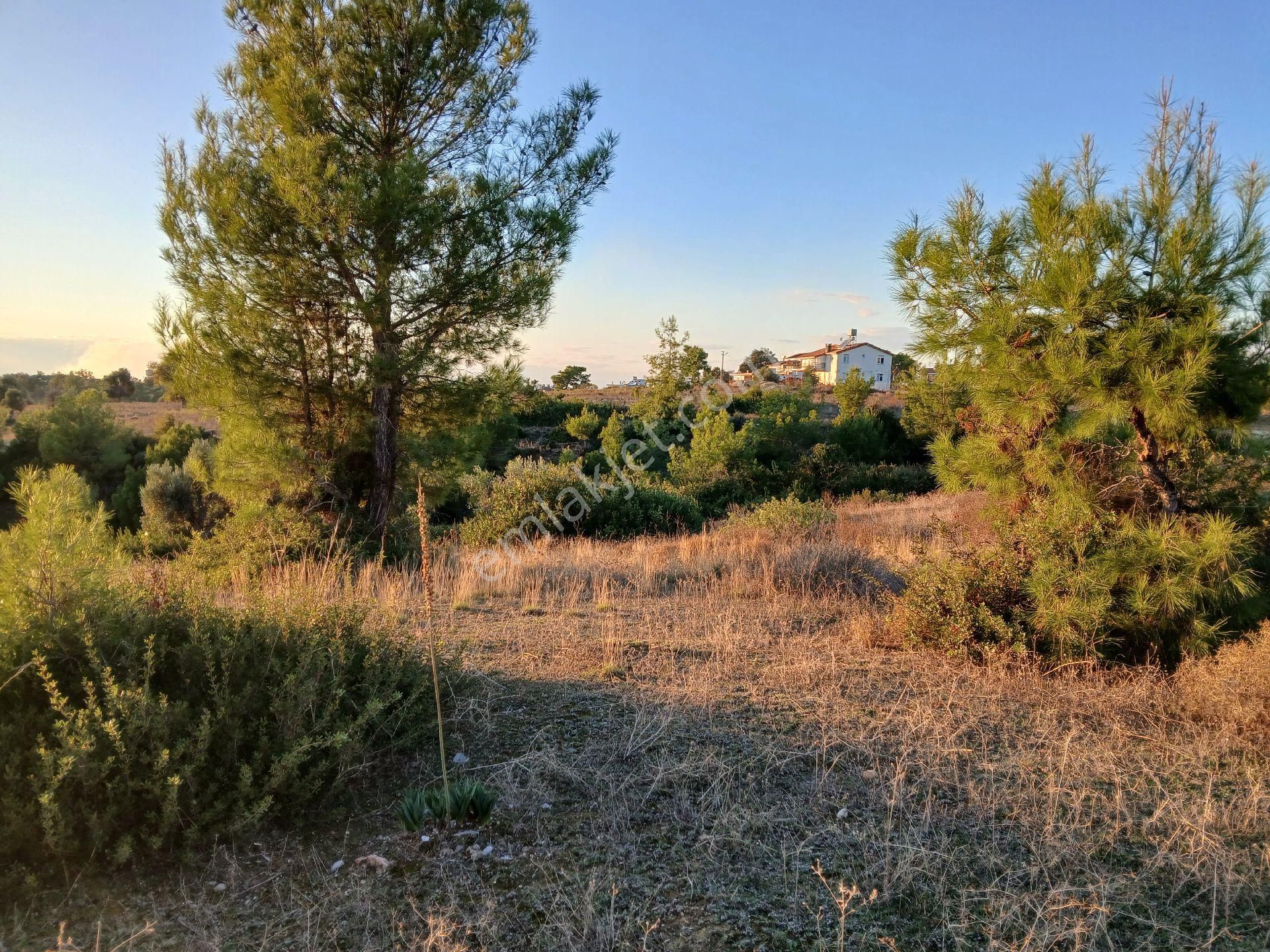 Evrenseki De Otellere Yakın 7500 M2 Tercihli İmarlıyap İşlet Devret Arsası - Görsel 4