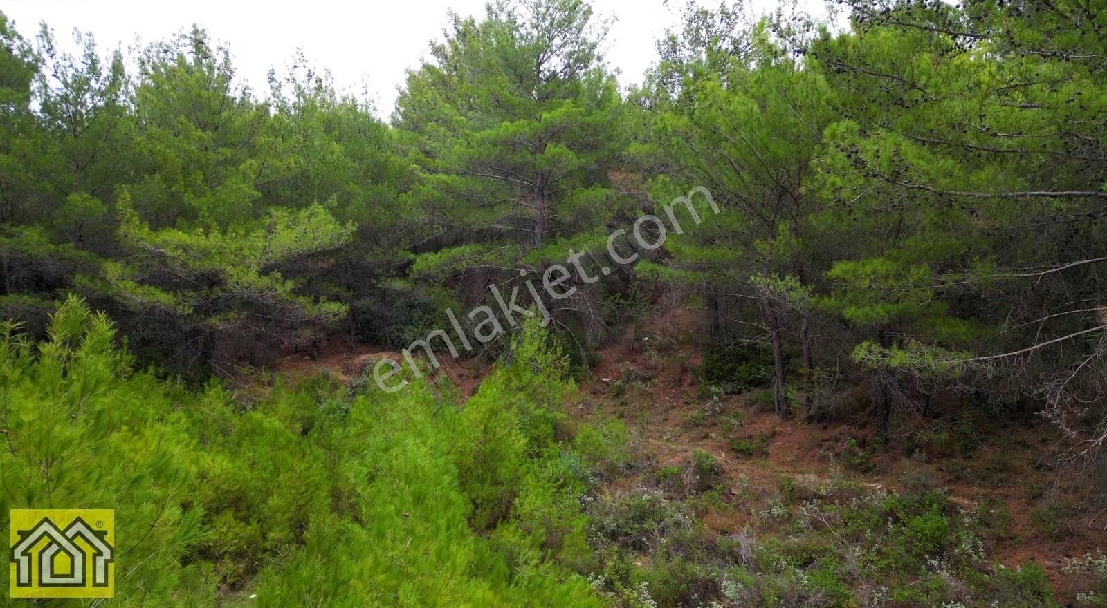 Urla Kalabakta Tek Tapu 22.801 M² Deniz Manzaralı Yatırım Arazi - Görsel 15