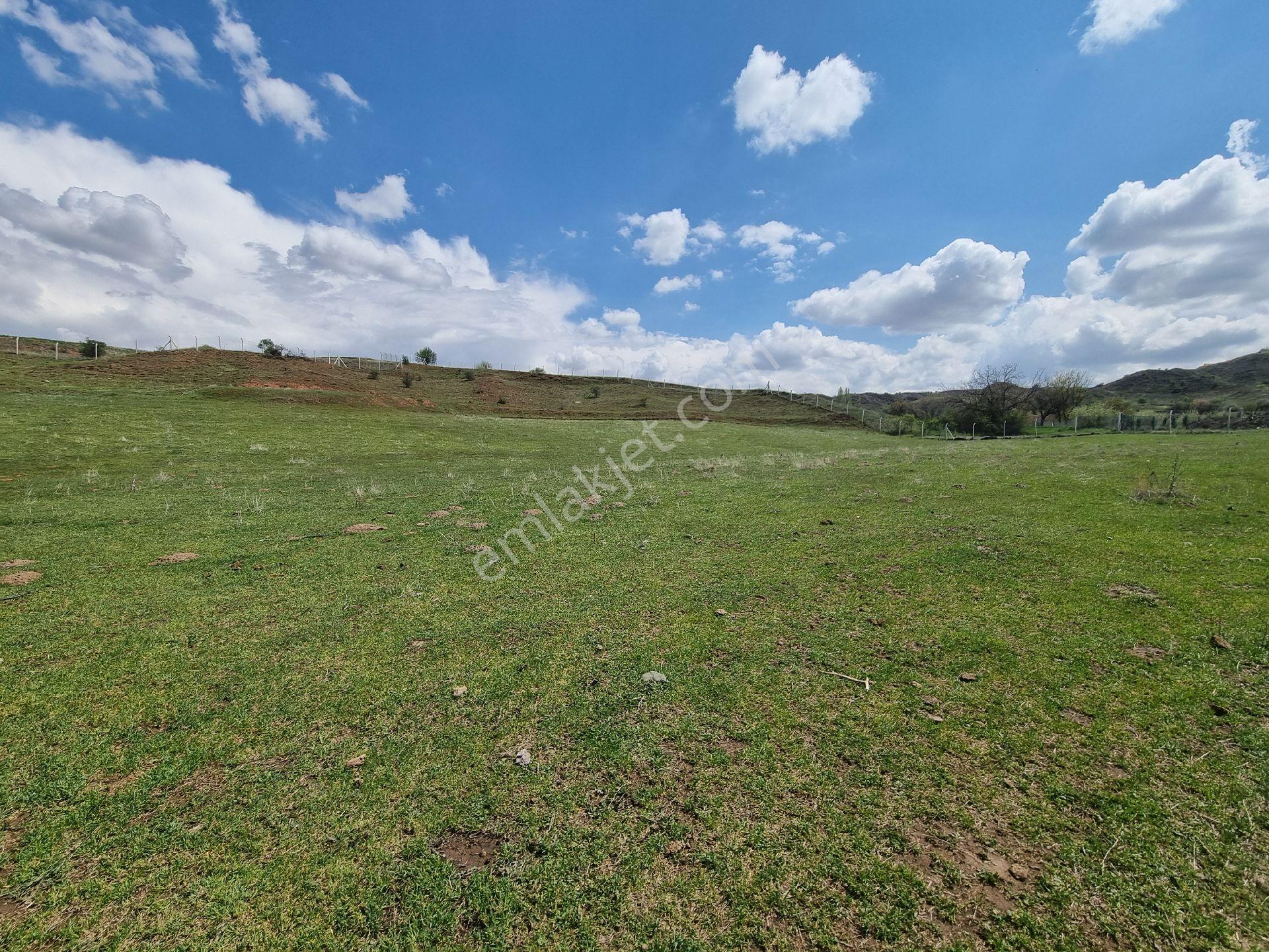 Sincan Temelli’ye Yakın | Polatlı Macun Köyiçi | 8.778 M² Hazır Kurulu Tek Tapu | Acil Satılık - Görsel 23