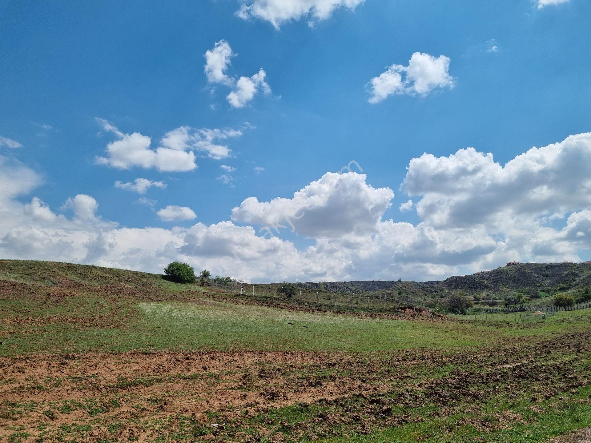 Sincan Temelli’ye Yakın | Polatlı Macun Köyiçi | 8.778 M² Hazır Kurulu Tek Tapu | Acil Satılık - Görsel 17