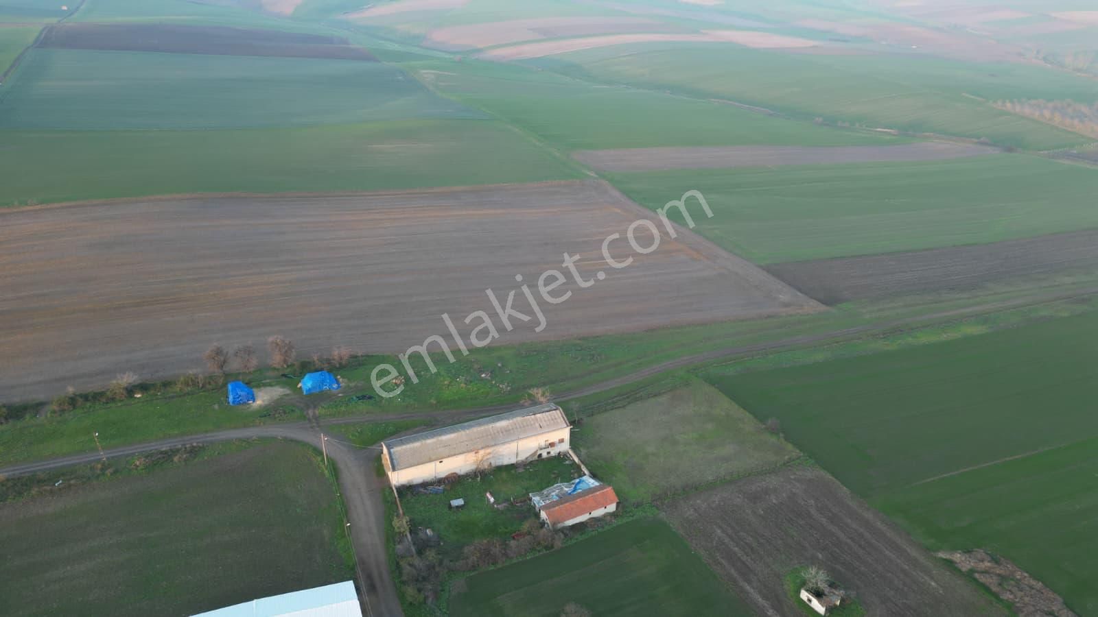 Çorlu Yenicede Acil Satılık - Görsel 10