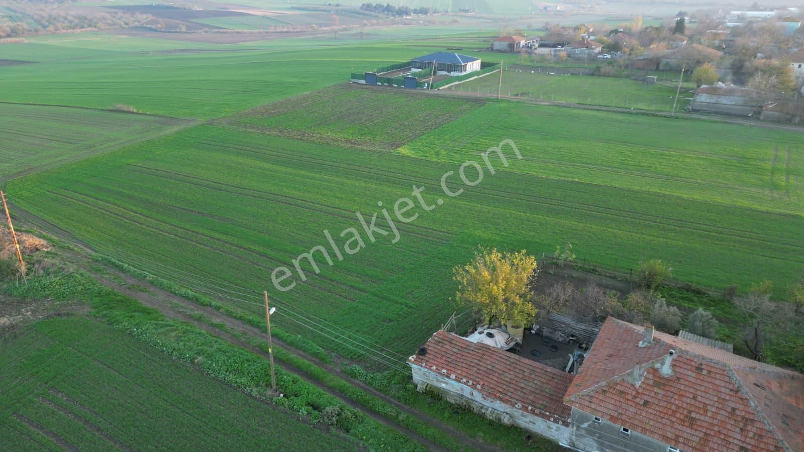 Çorlu Yenicede Acil Satılık