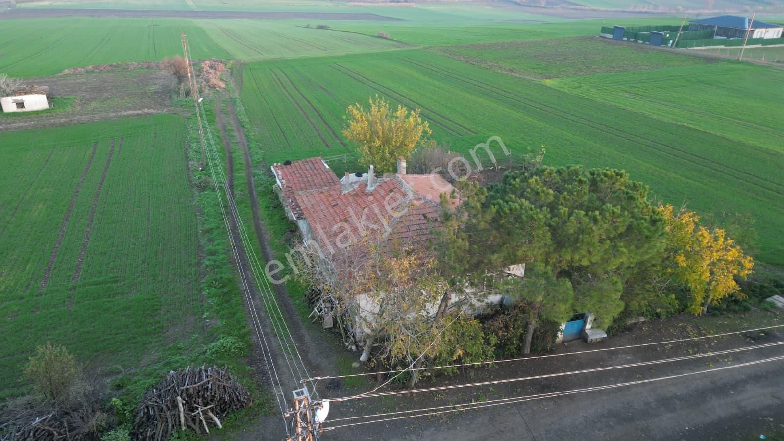 Çorlu Yenicede Acil Satılık - Görsel 3