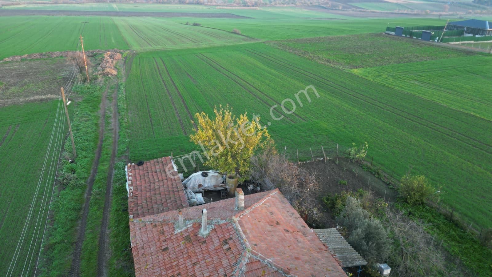 Çorlu Yenicede Acil Satılık - Görsel 5