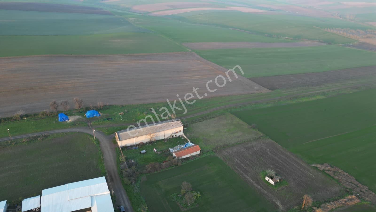 Çorlu Yenicede Acil Satılık - Görsel 12