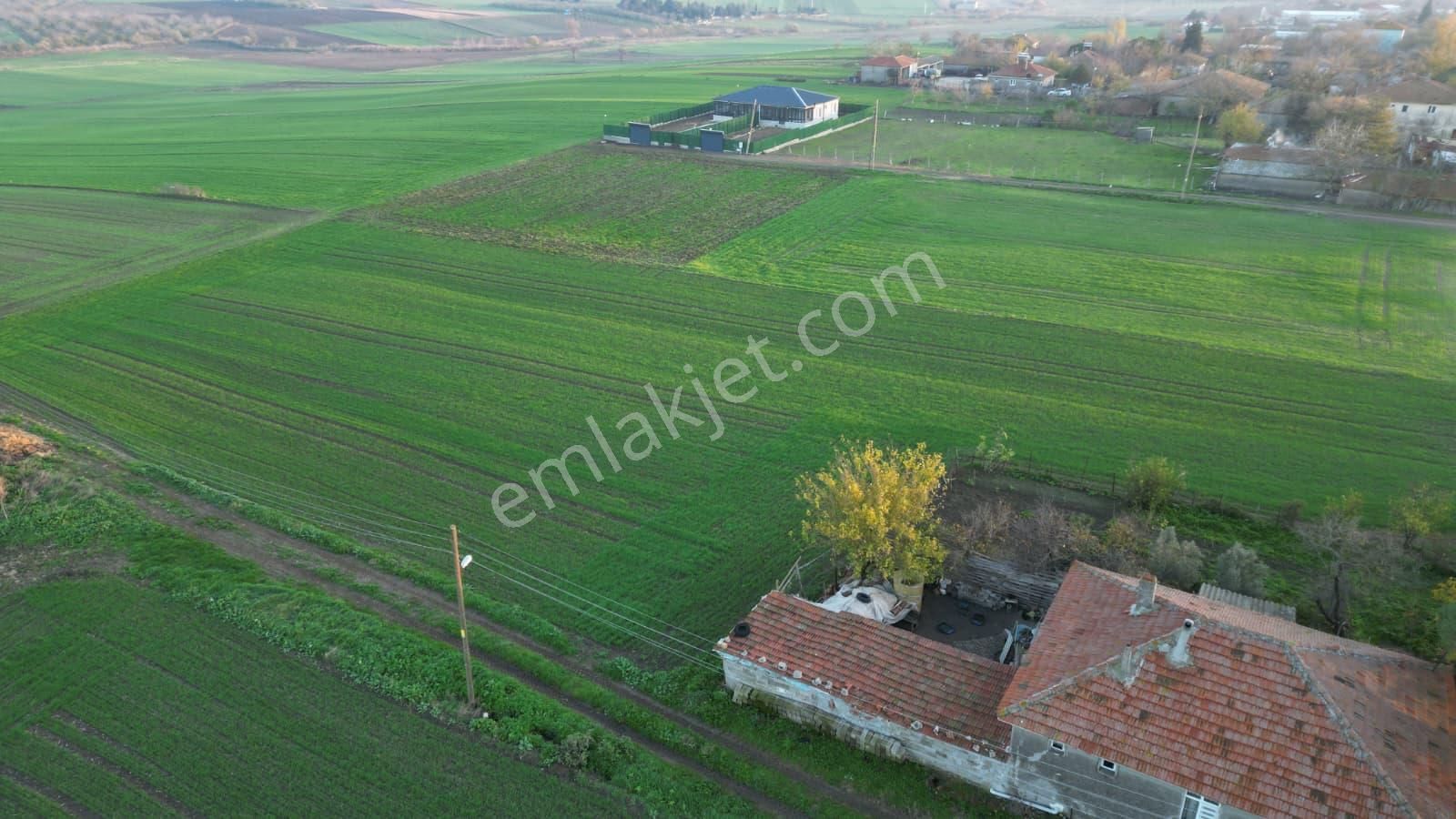 Çorlu Yenicede Acil Satılık - Görsel 13