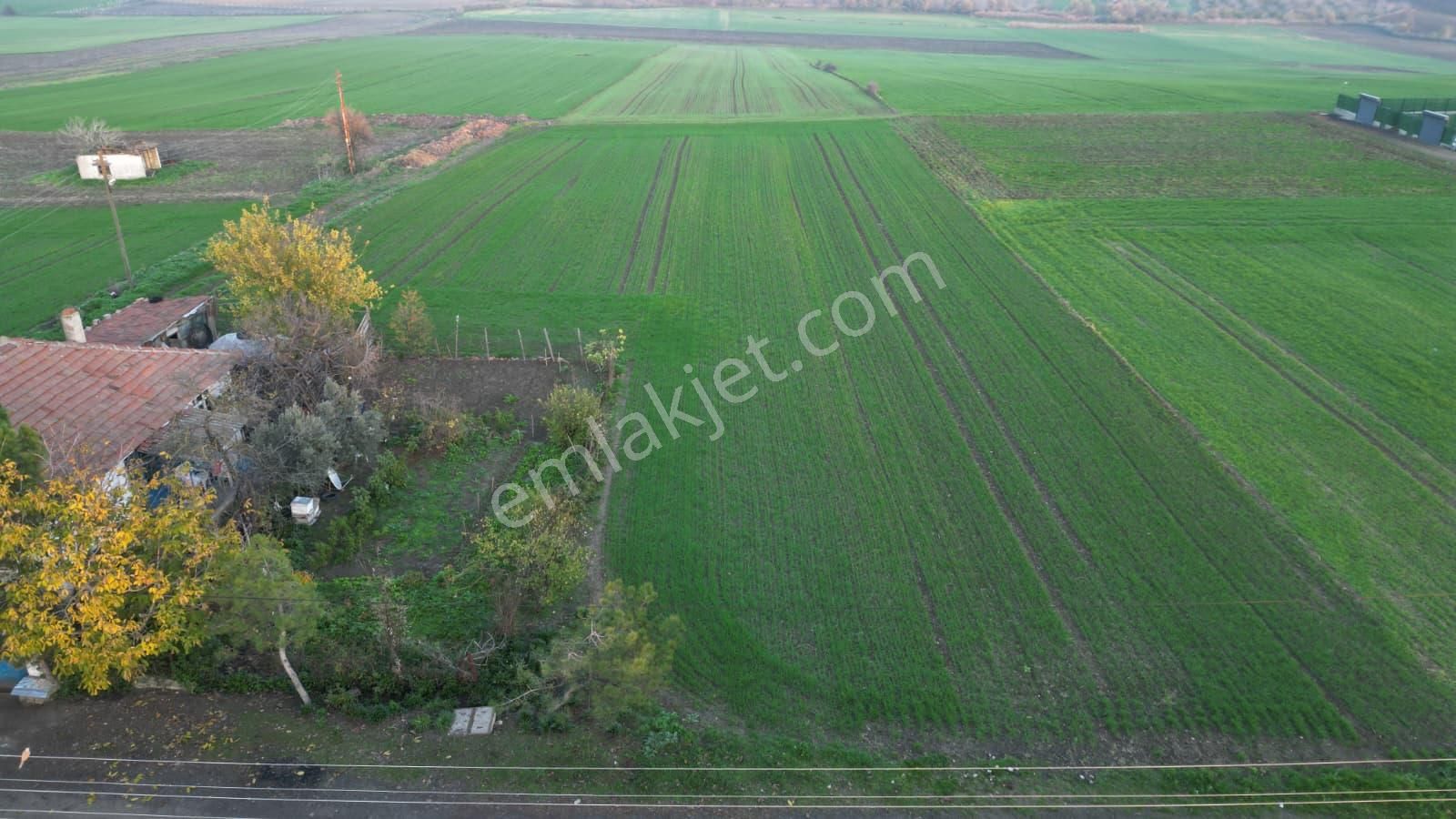 Çorlu Yenicede Acil Satılık - Görsel 19