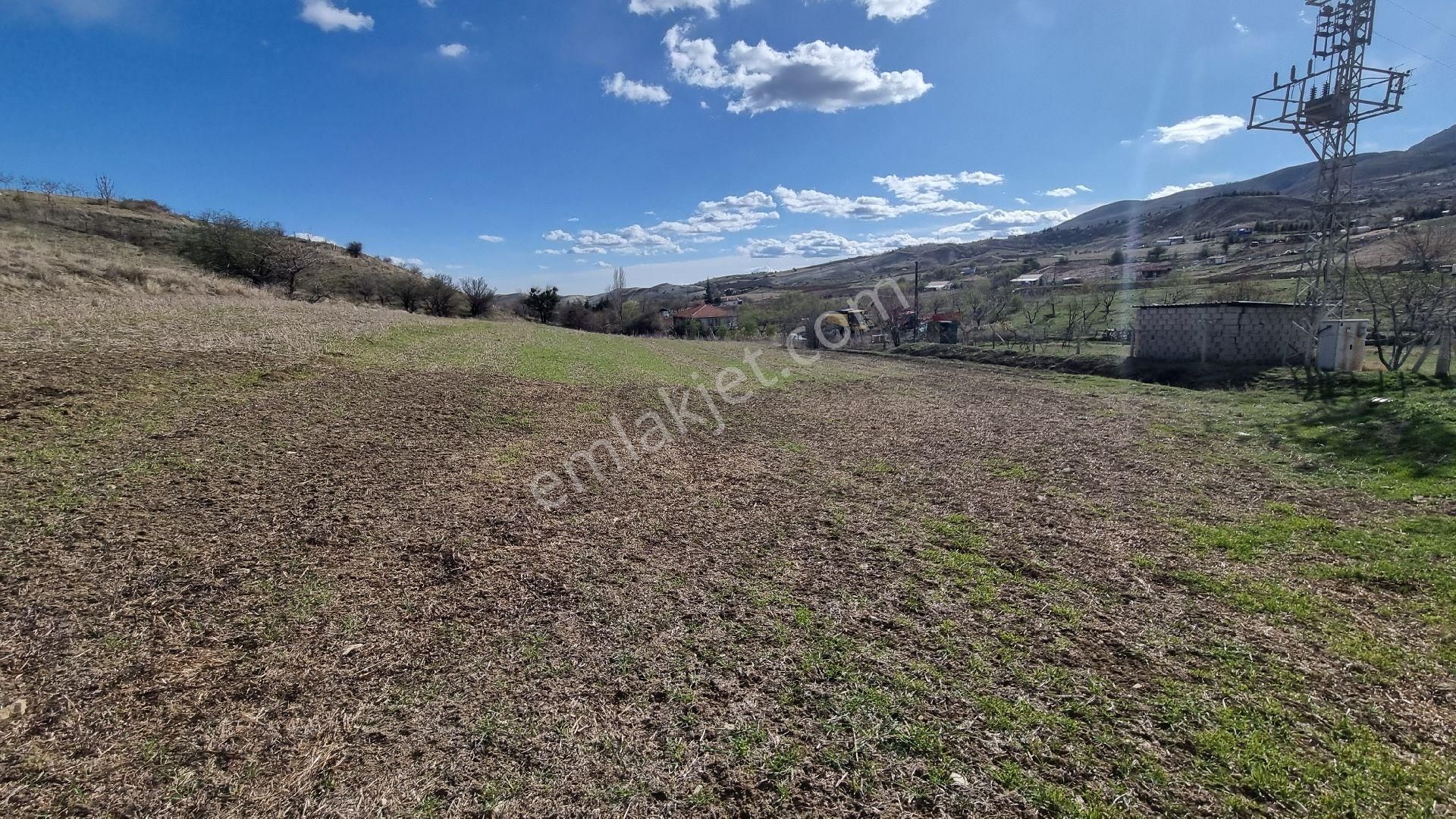 Ayaş Gökler Köyiçi | 216 M² Hisse Tapulu | Kadastro Yol Cepheli Yatırımlık Fırsat - Görsel 9