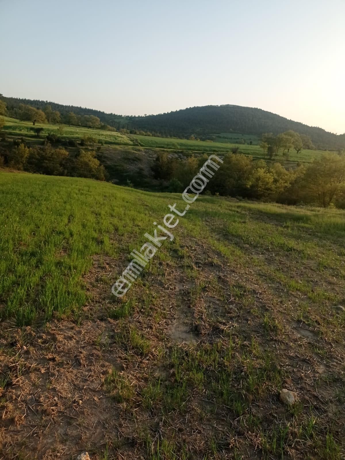 Çanakkale De Satılık Arsa - Görsel 6