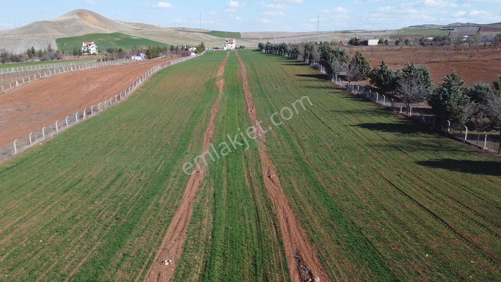Ankara Polatlı Macun | 16.450 M² Tek Tapu | 1/5000 Konut İmarlı Müstakil Parsel - Görsel 8