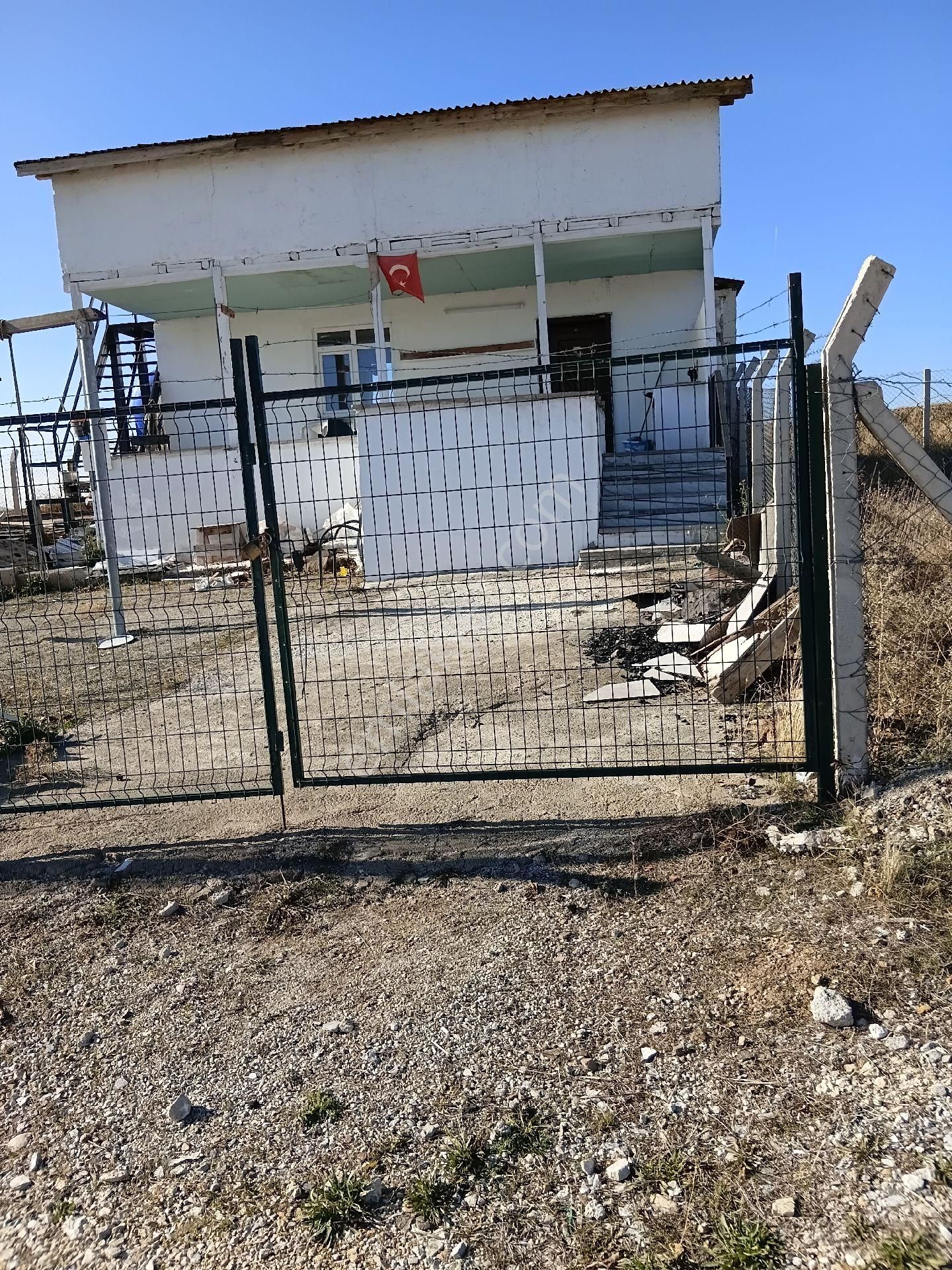 "içinde Ev Olan Veya Boş Hobi Bahçeleri" - Görsel 22