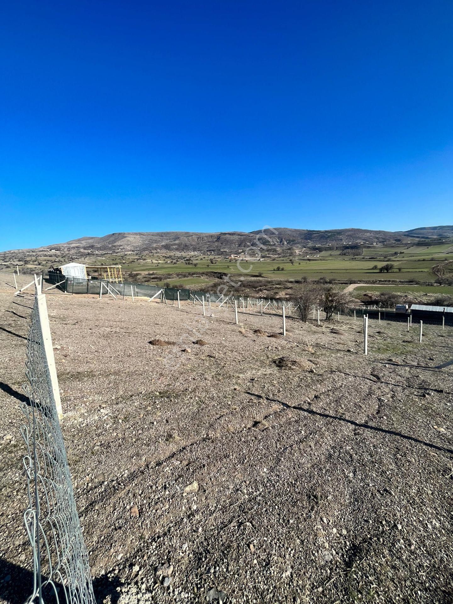 Ayaş Merkeze Yakın | 250 M² Hazır Kurulu Hobi Bahçesi | Bu Fiyata Son Fırsat - Görsel 8