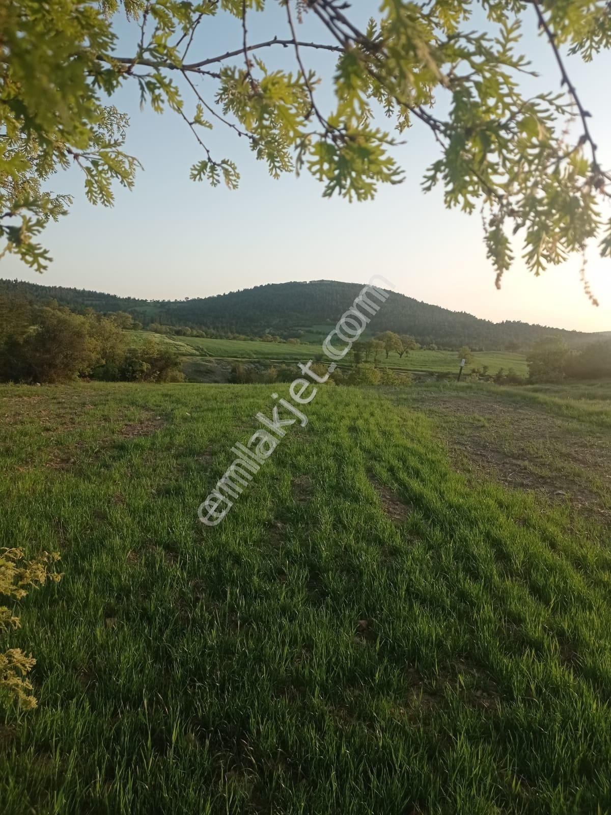 Çanakkale De Satılık Arsa - Görsel 9