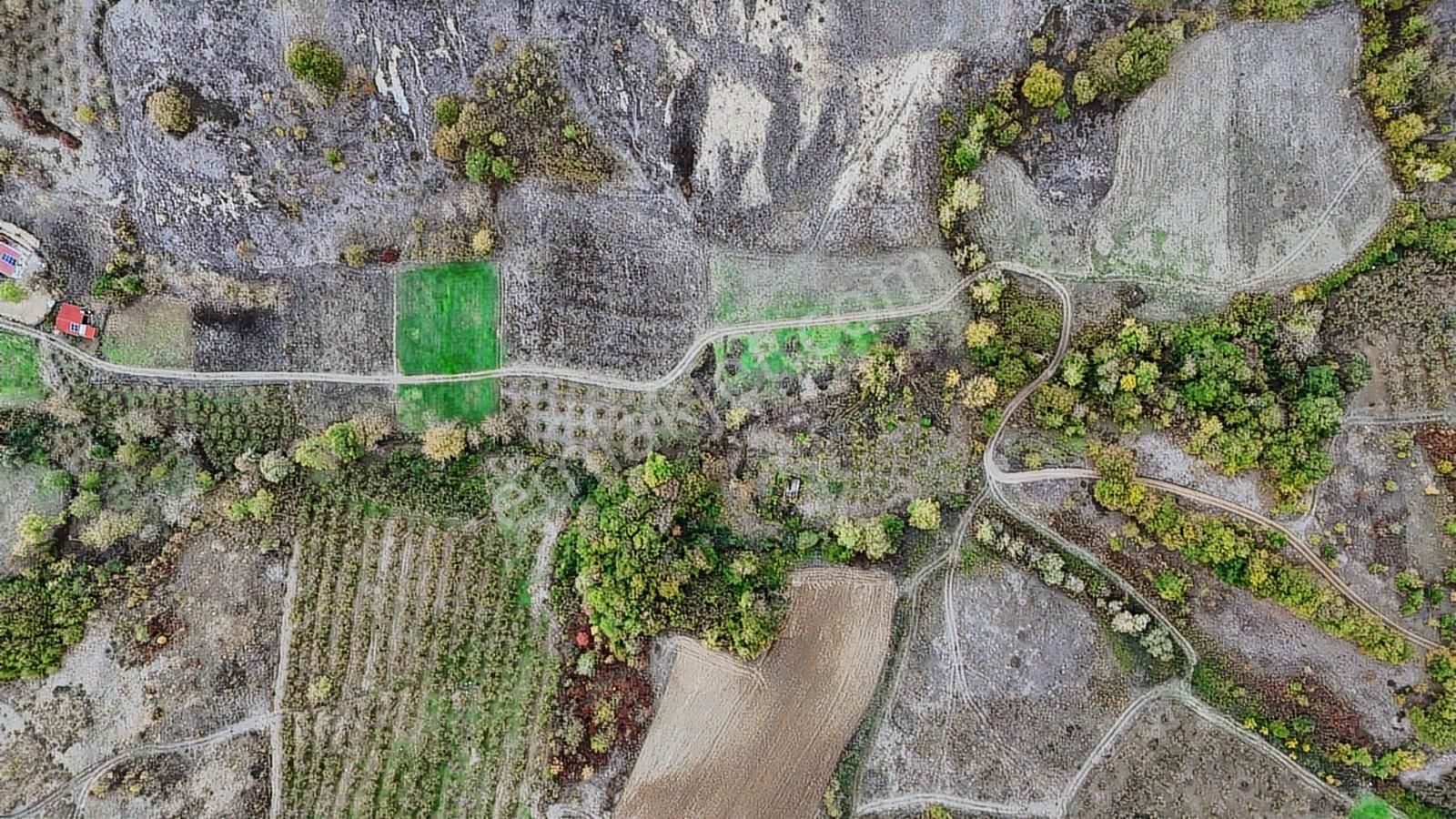 Tarcanlar'dan Kandıra Elmacık Köyü 5.046 M² Toprak Yollu Tarla. - Görsel 8
