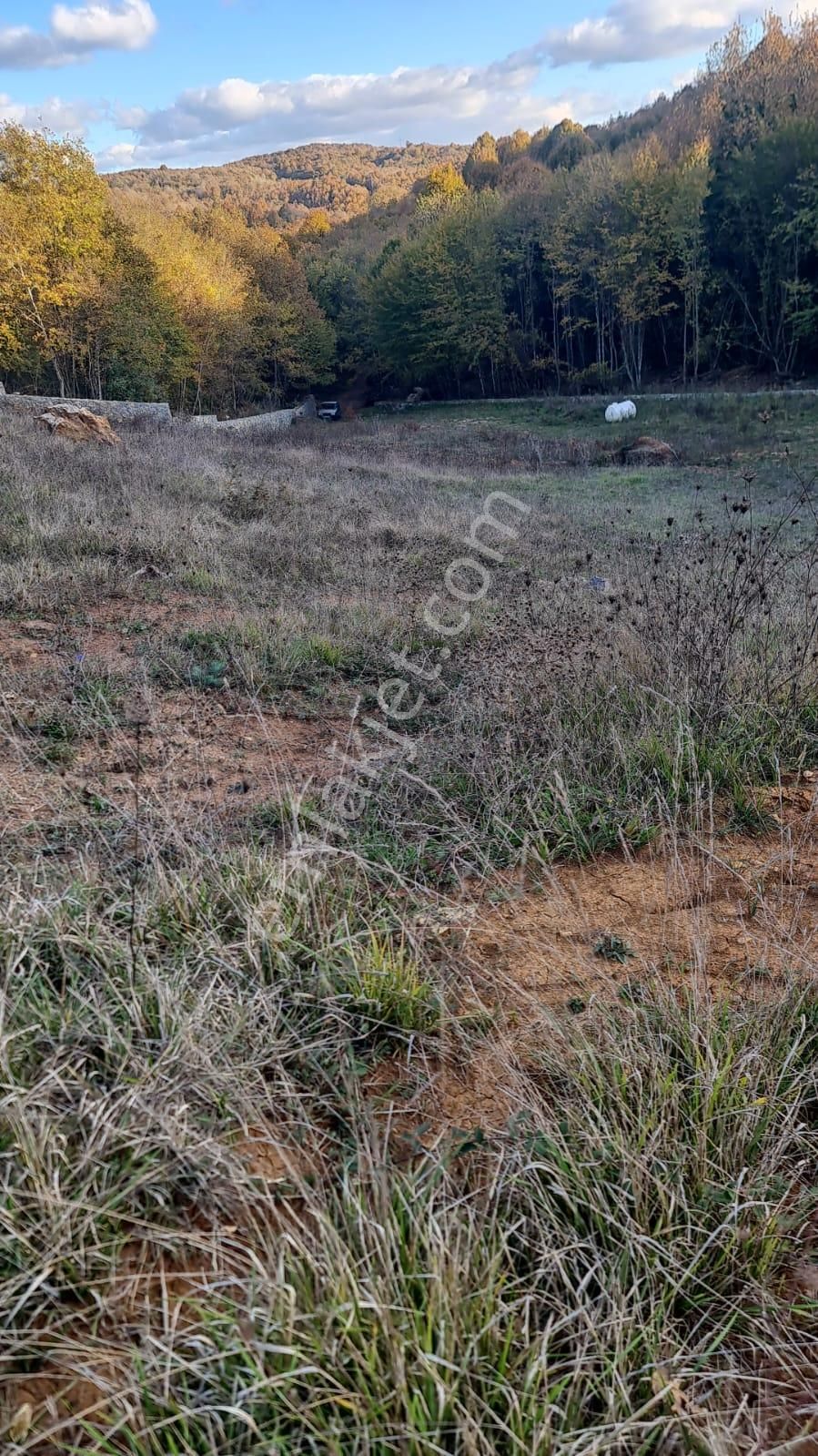 Şile De Satılık Arsa - Görsel 21