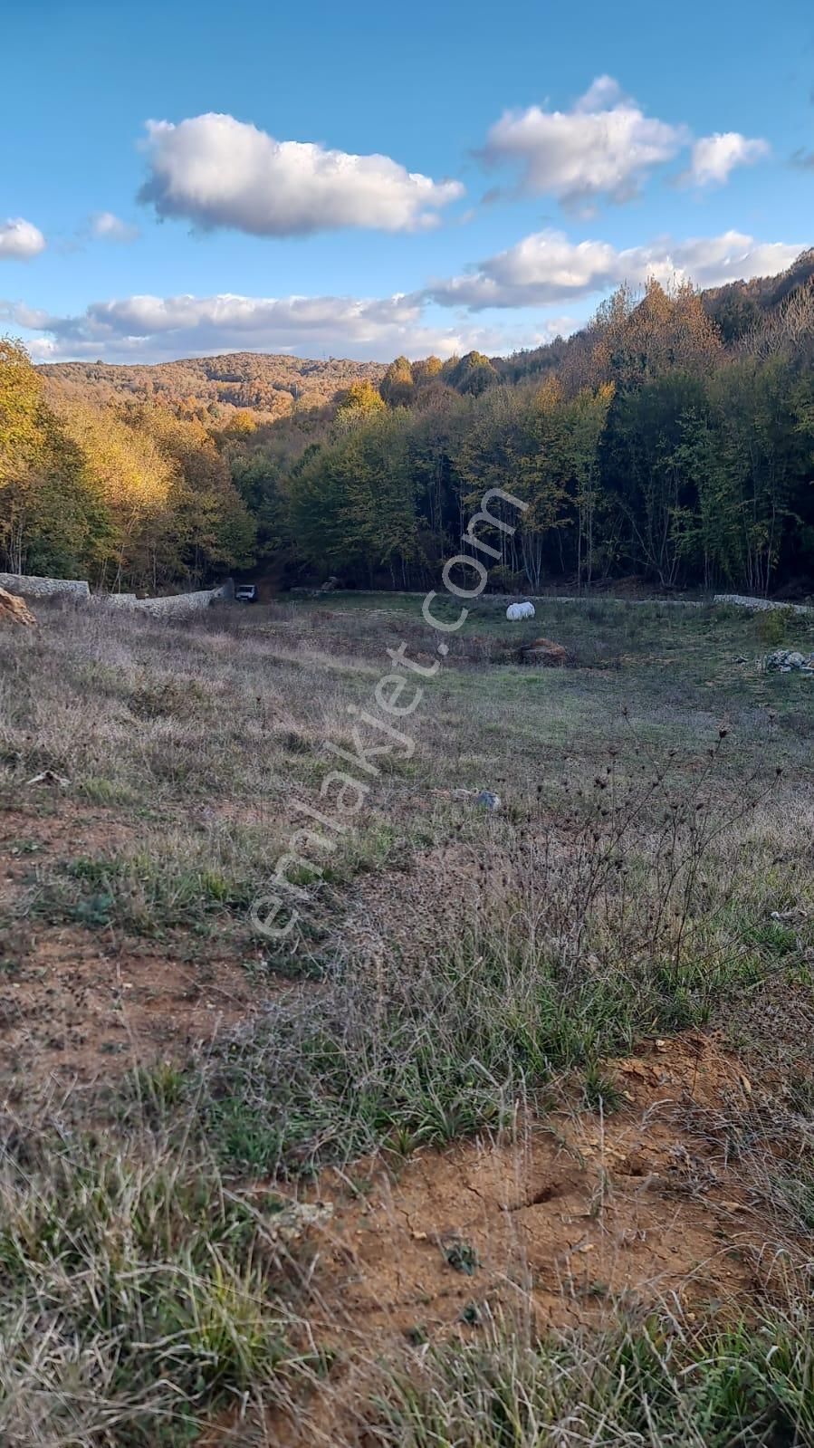 Şile De Satılık Arsa - Görsel 16