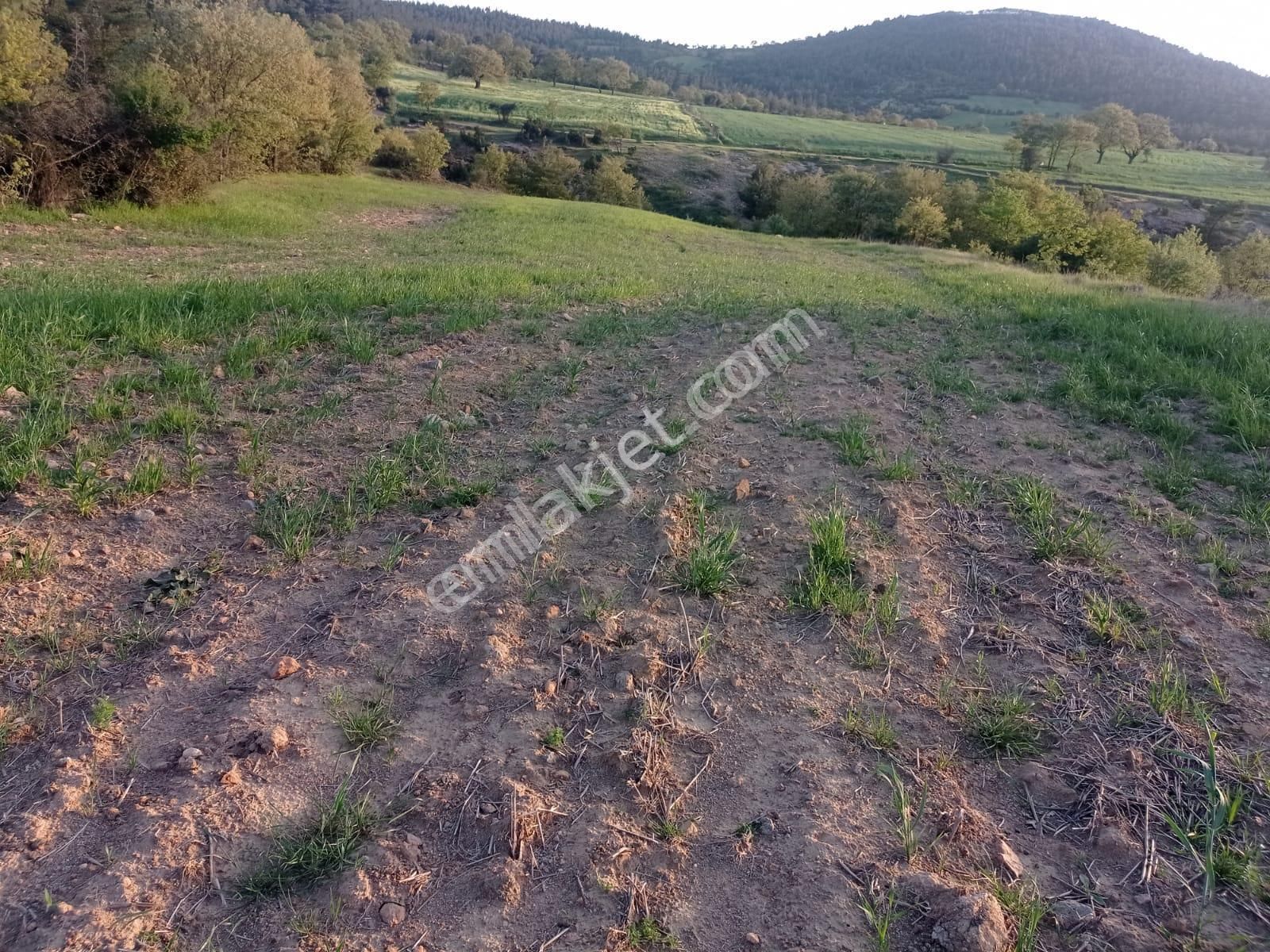 Şile De Satılık Arsa - Görsel 10