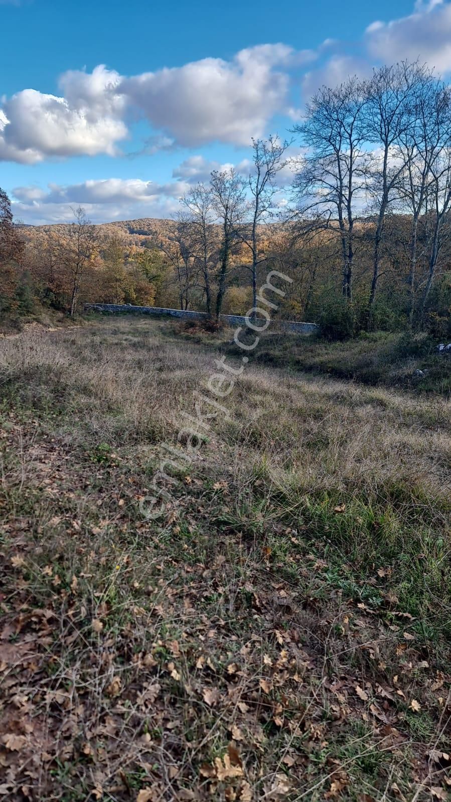 Şile De Satılık Arsa - Görsel 17