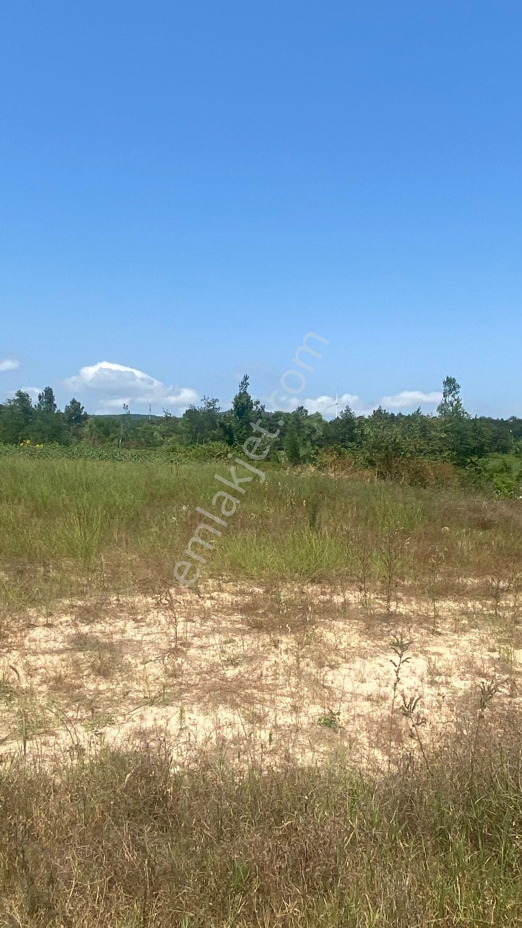 Hisseli Muvafakatnameli 250 M2 Arasa - Görsel 3