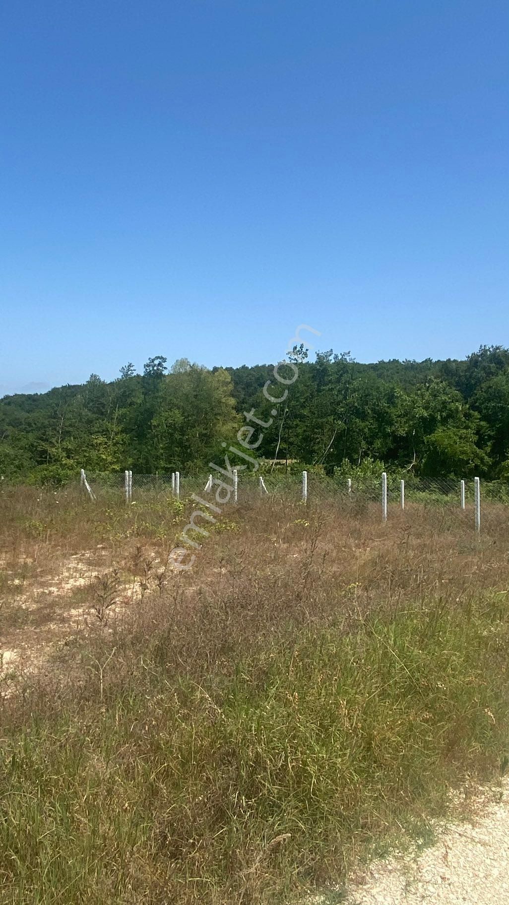 Hisseli Muvafakatnameli 250 M2 Arasa - Görsel 4