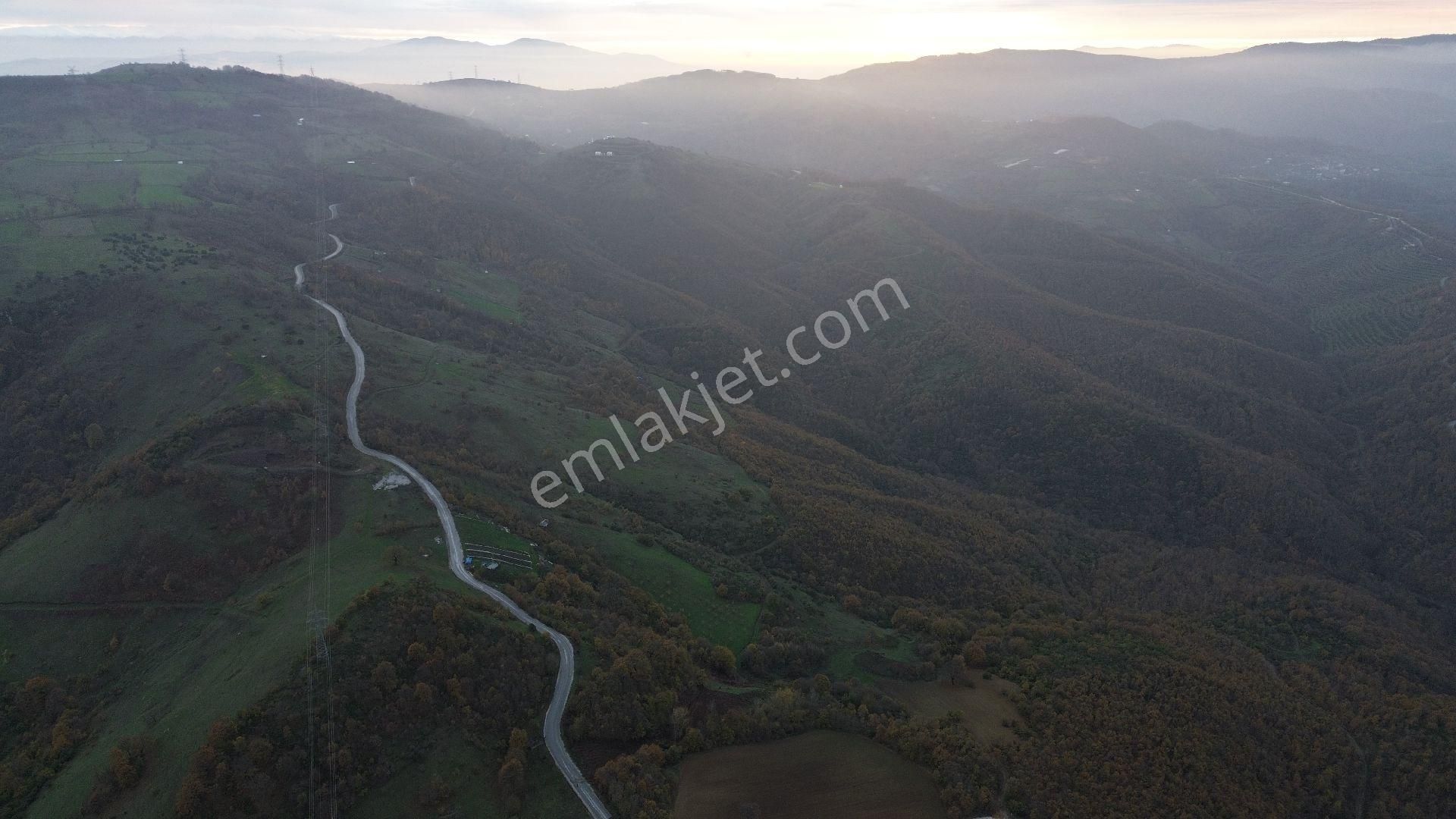 Orhangazi Mahmudiye Köyünde Asfalta Cephe 7.330 M2 Satılık Tarla - Görsel 17