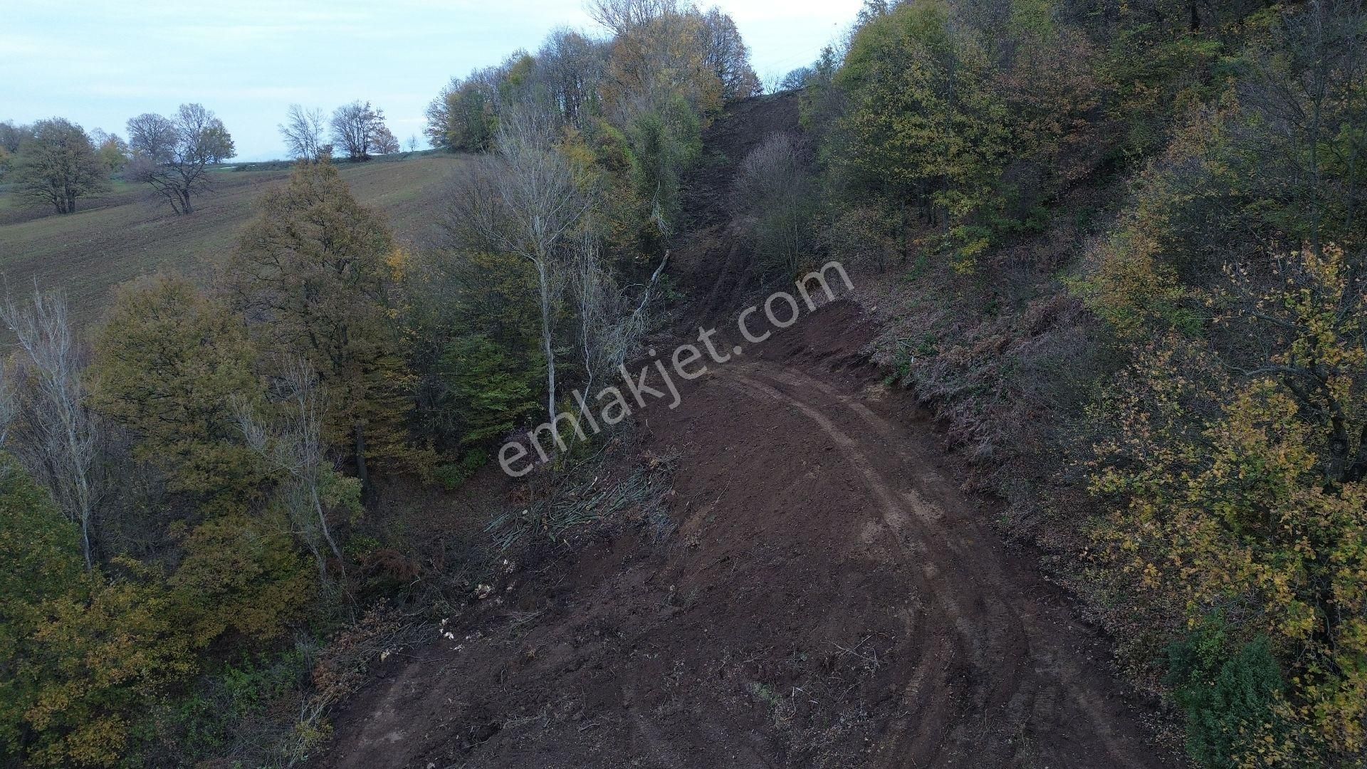 Orhangazi Mahmudiye Köyünde Asfalta Cephe 7.330 M2 Satılık Tarla - Görsel 4