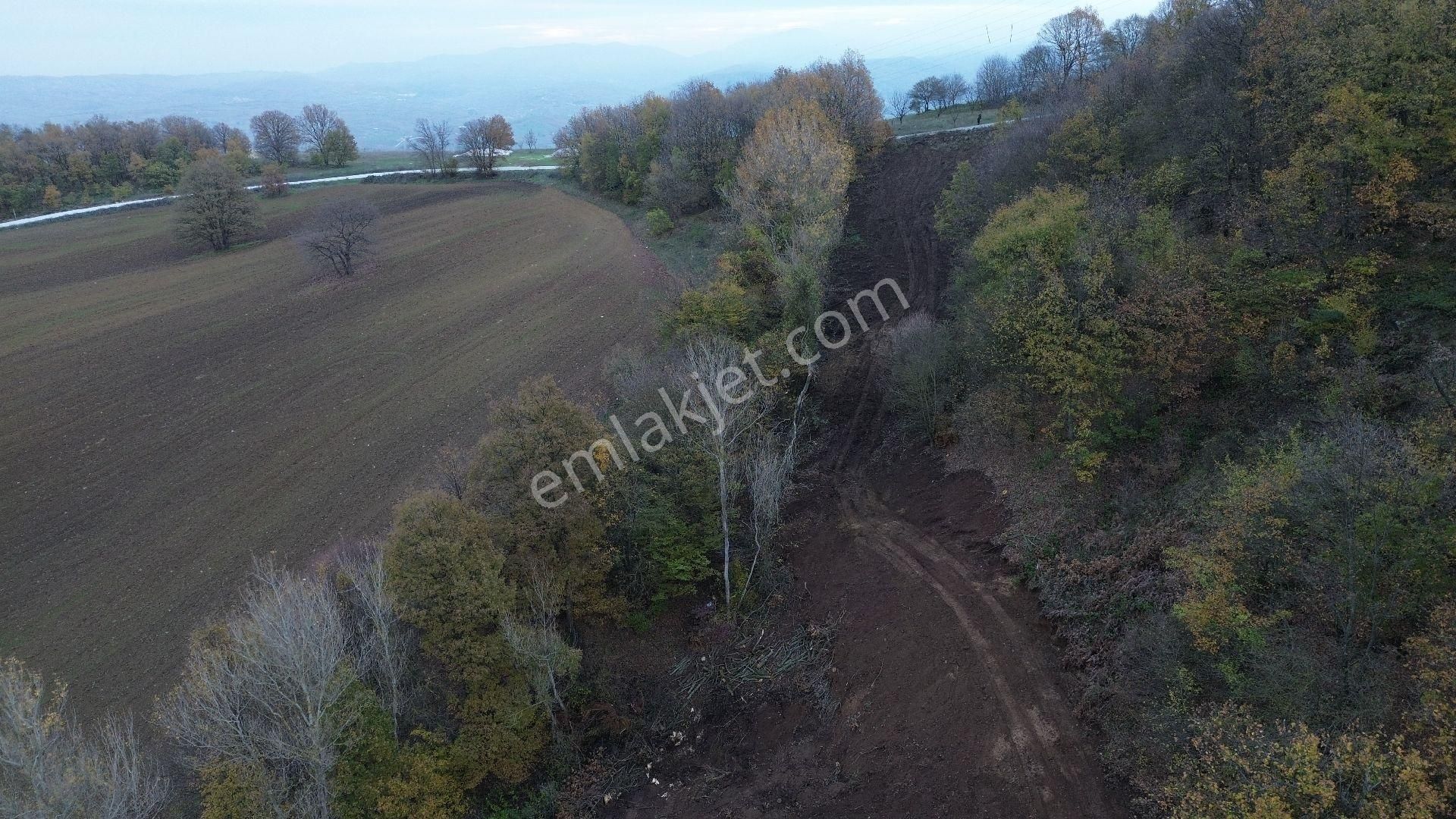 Orhangazi Mahmudiye Köyünde Asfalta Cephe 7.330 M2 Satılık Tarla - Görsel 9