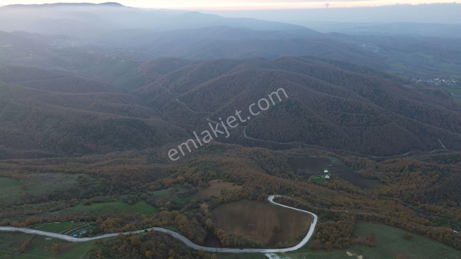 Orhangazi Mahmudiye Köyünde Asfalta Cephe 7.330 M2 Satılık Tarla - Görsel 3